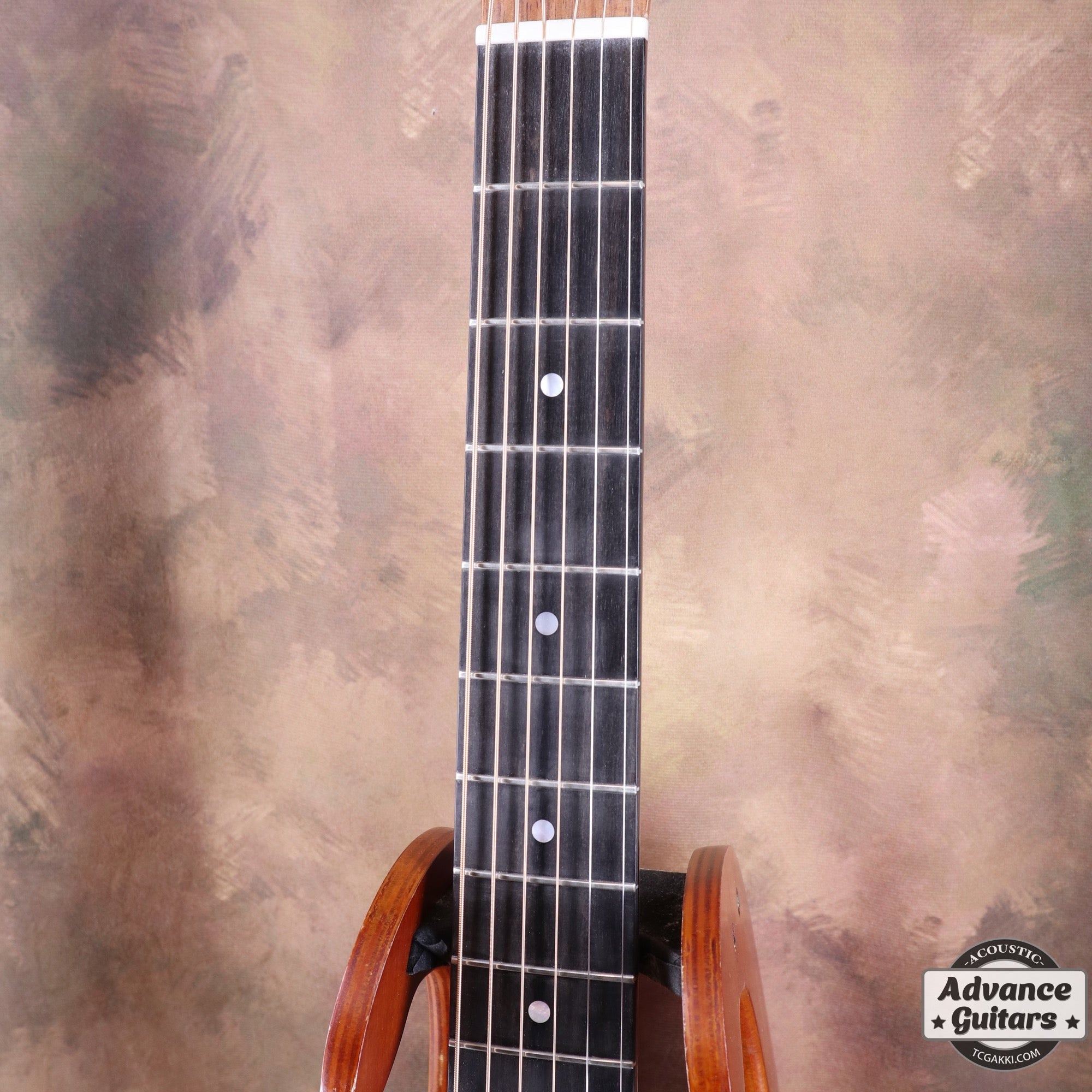 EBW808C Blackwood - TC楽器 - TCGAKKI