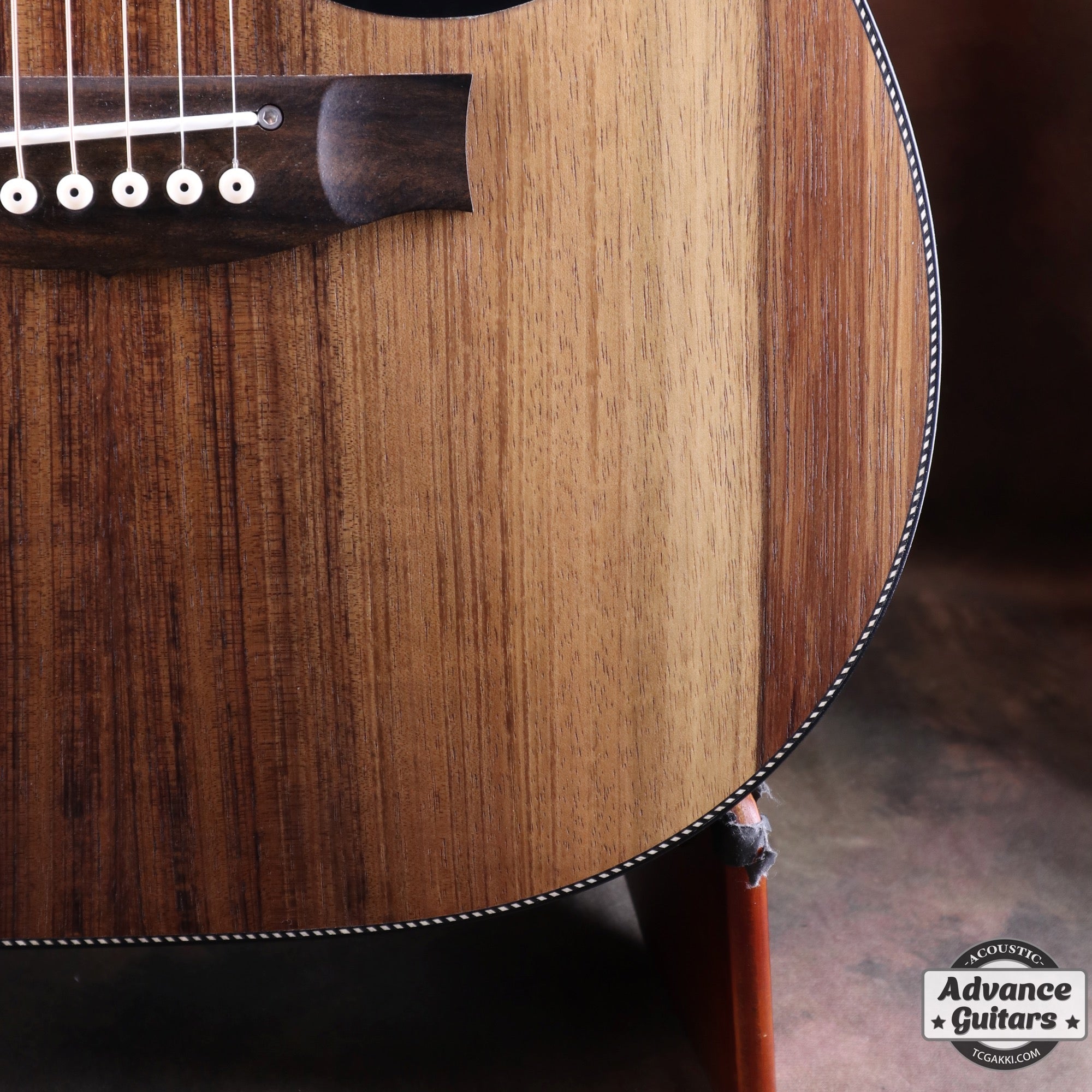 EBW808C Blackwood - TC楽器 - TCGAKKI