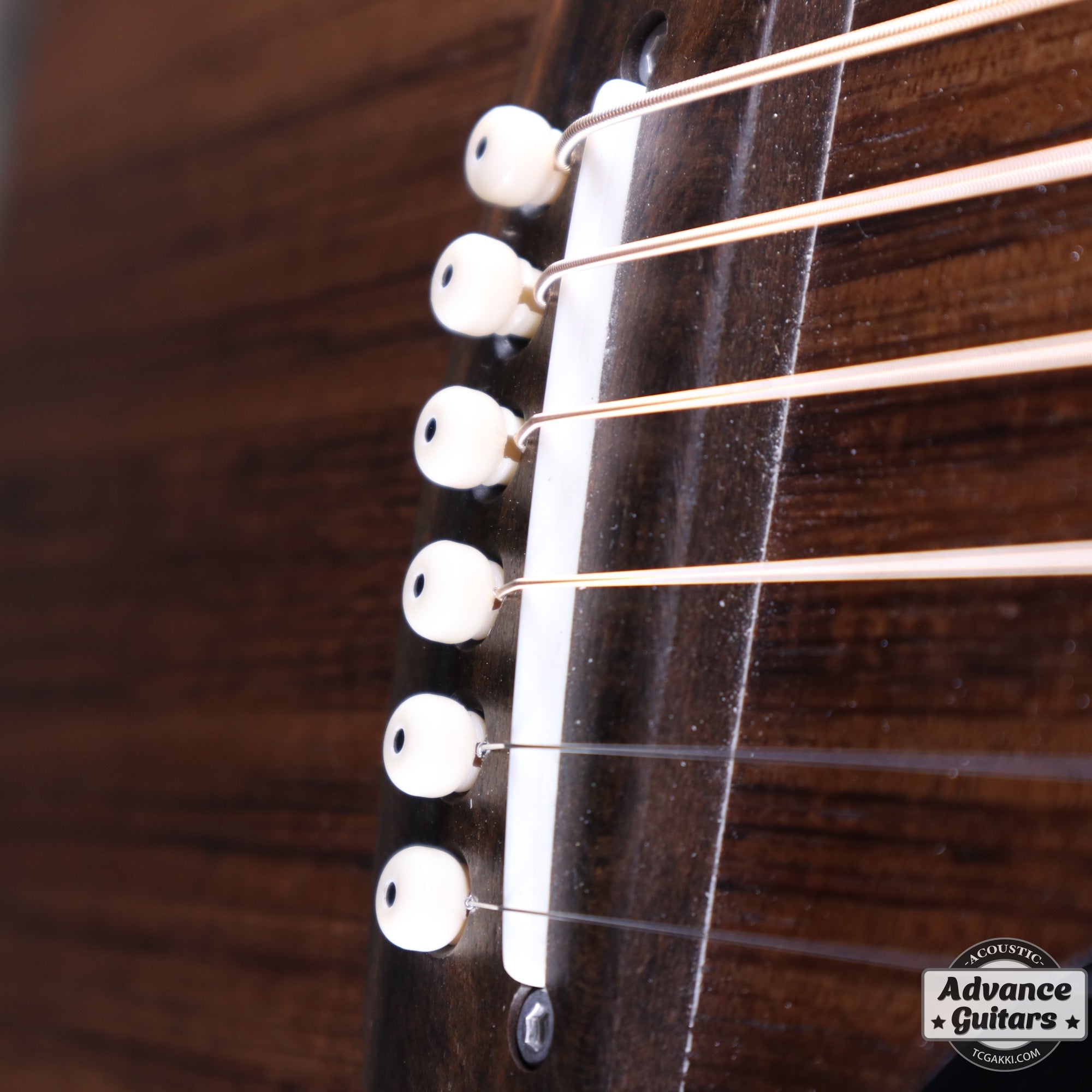 EBW808C Blackwood - TC楽器 - TCGAKKI