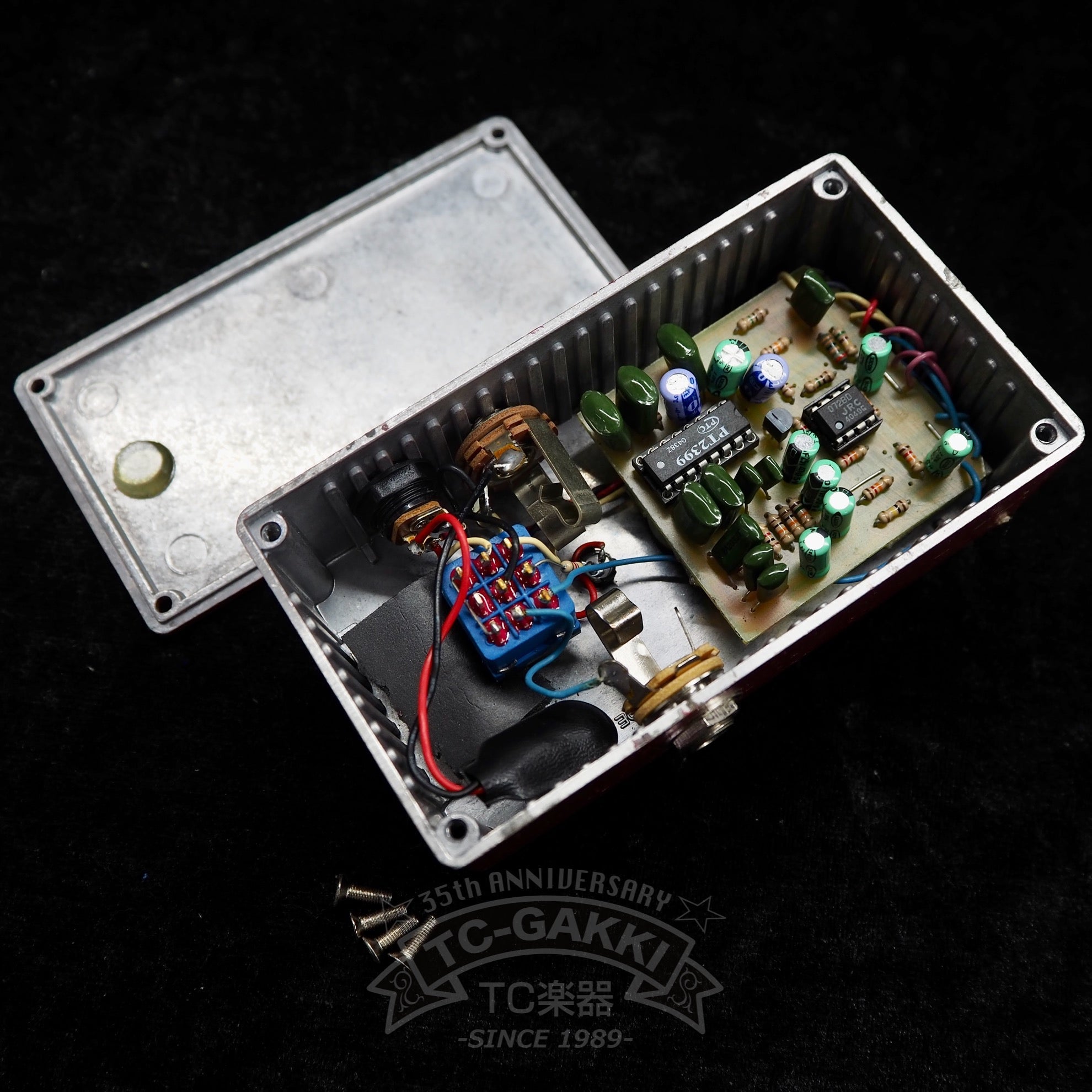 Echo Jr. VINTAGE DELAY - TC楽器 - TCGAKKI