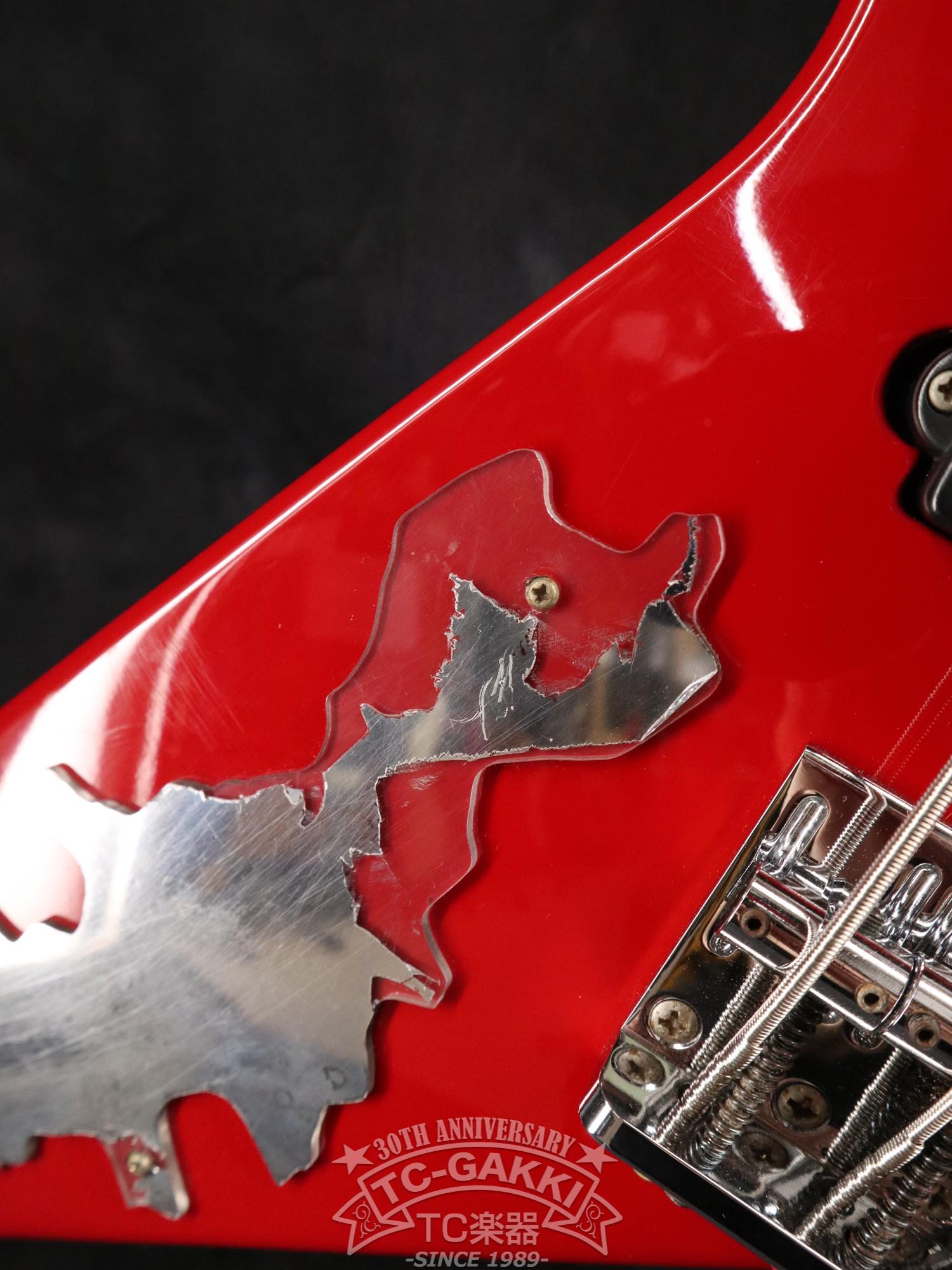 EDWARDS E-RS-85B - TC楽器 - TCGAKKI