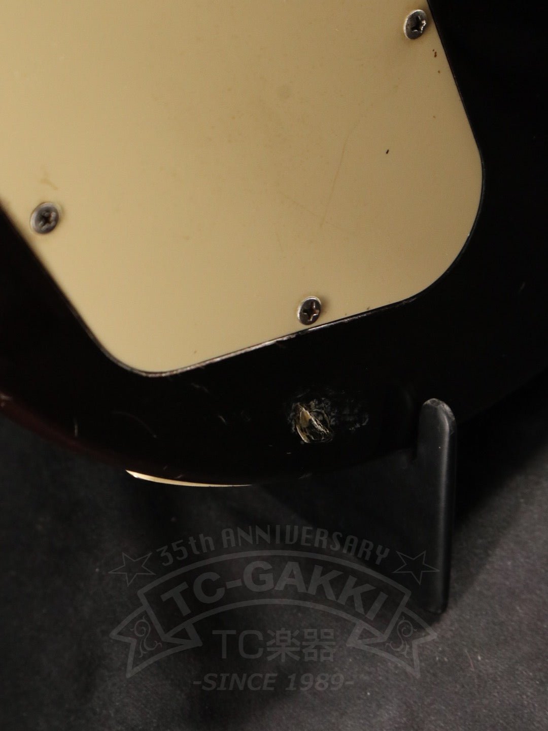 EG500 - TC楽器 - TCGAKKI