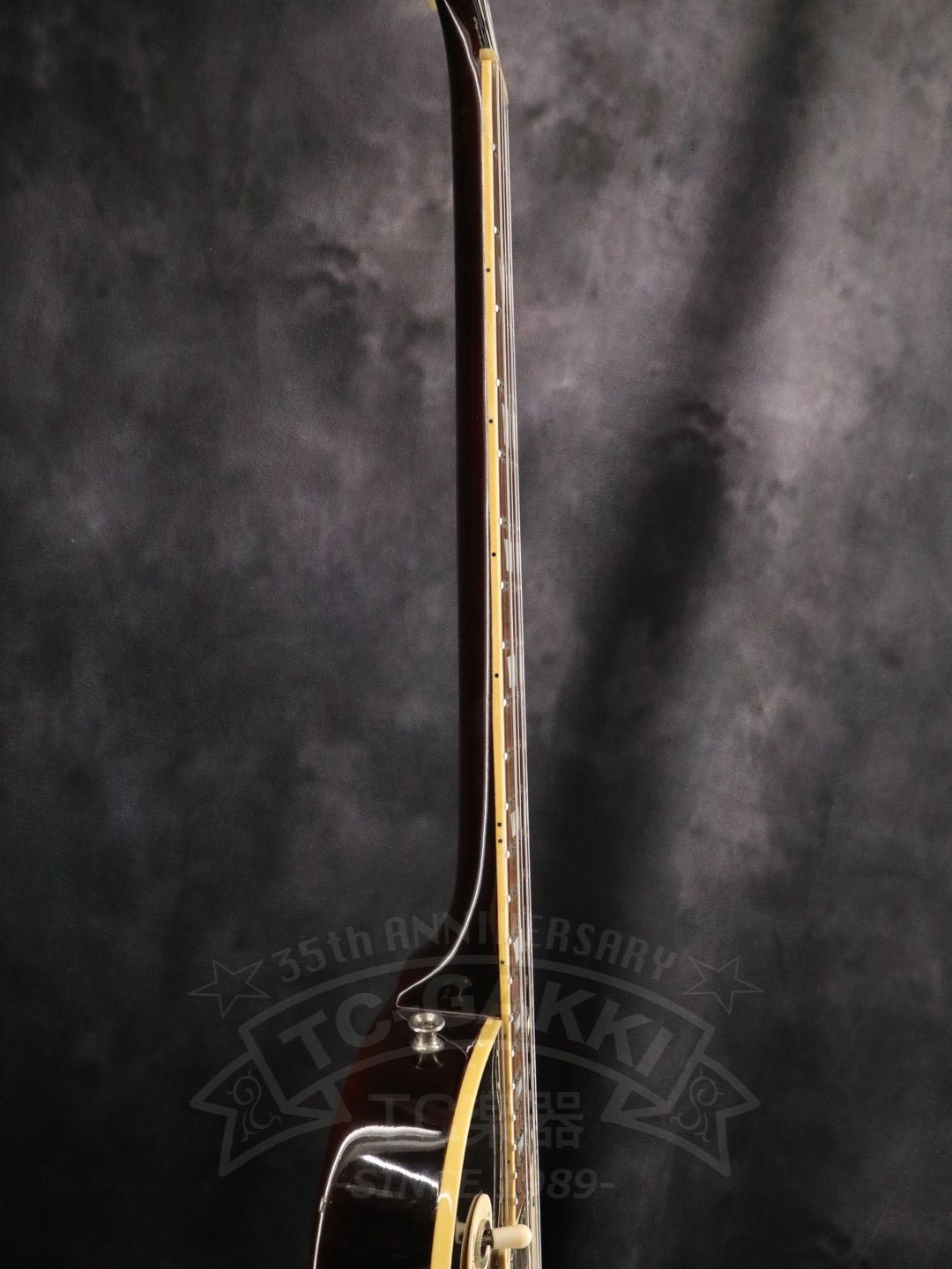 EG500 - TC楽器 - TCGAKKI