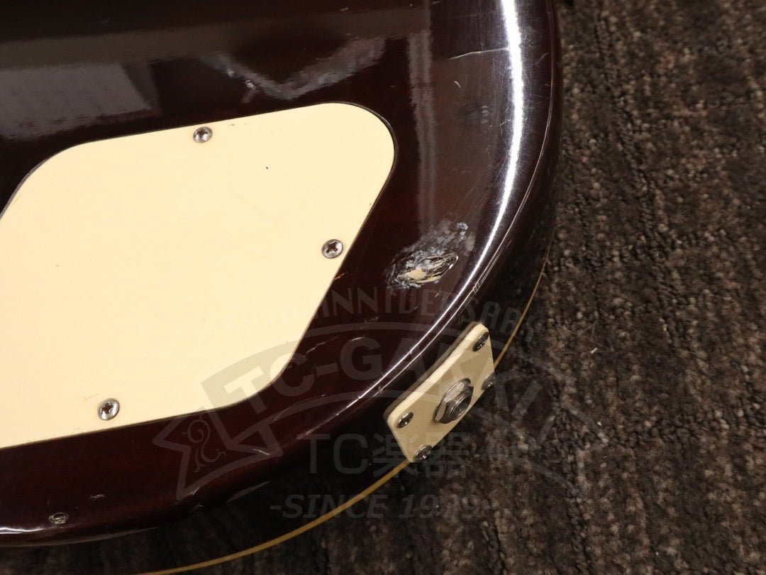 EG500 - TC楽器 - TCGAKKI