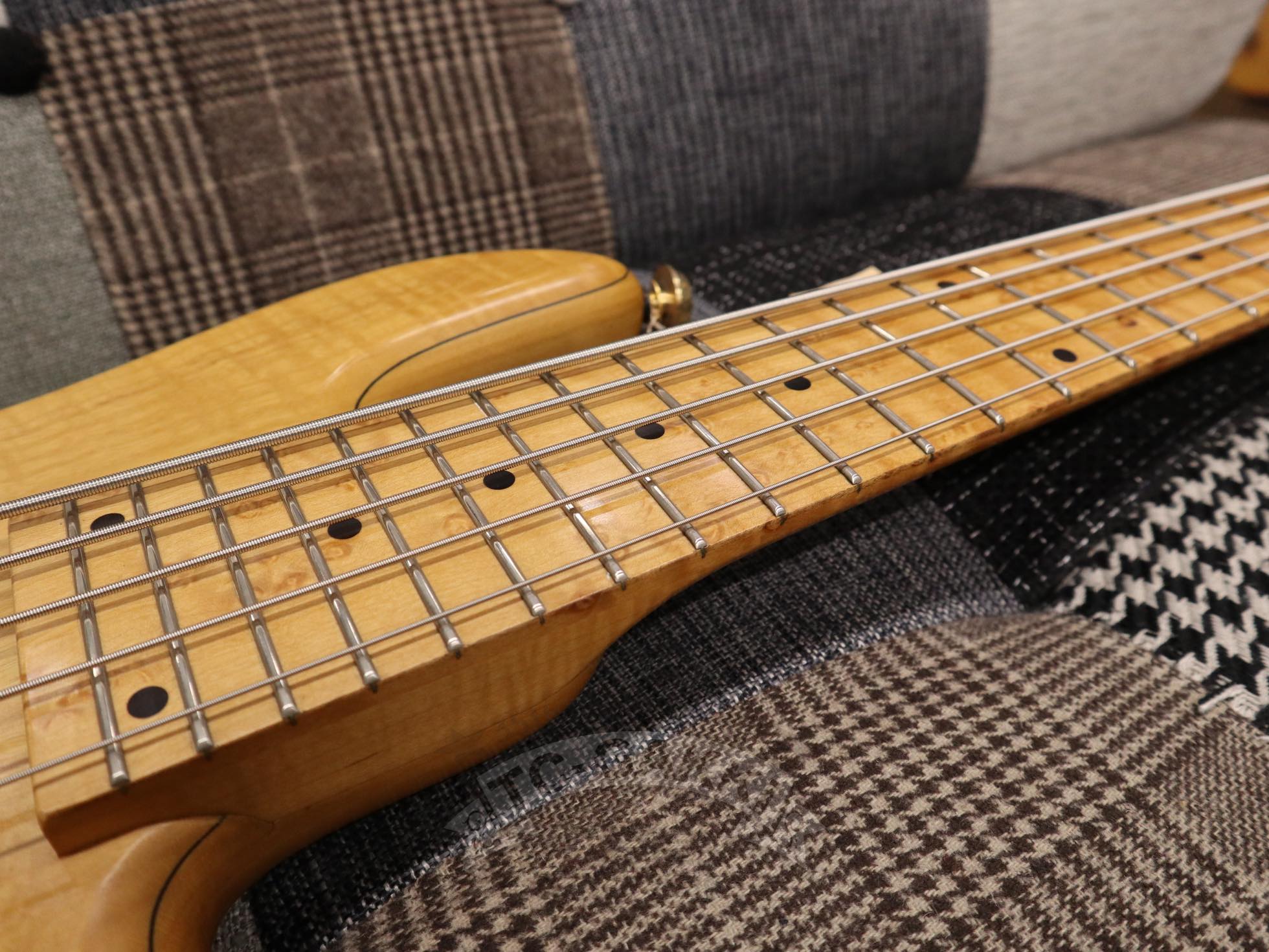 Emperor 5st Bolt - on - TC楽器 - TCGAKKI