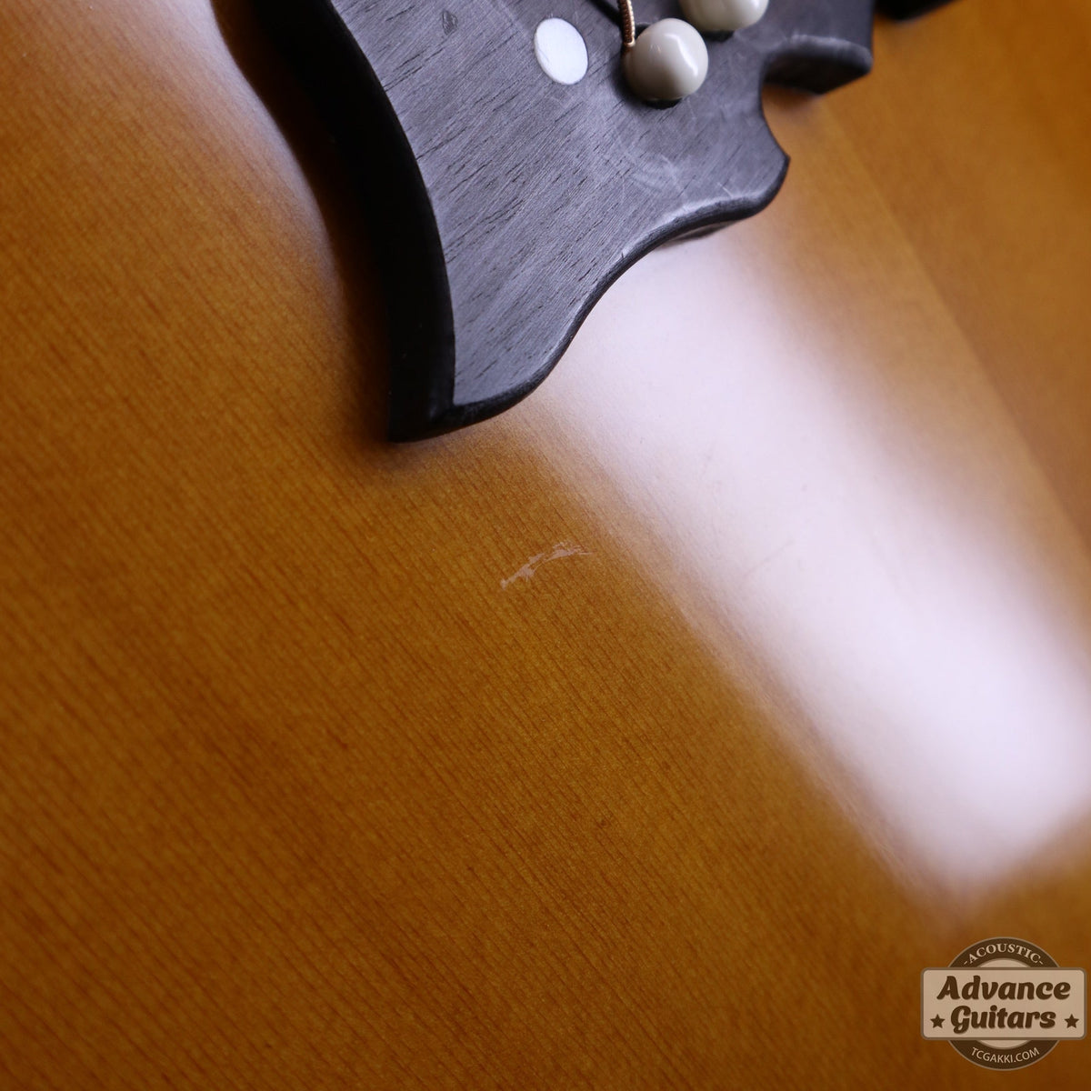 Epiphone 2021年製 FT120 Masterbilt Excellente - TC楽器 - TCGAKKI