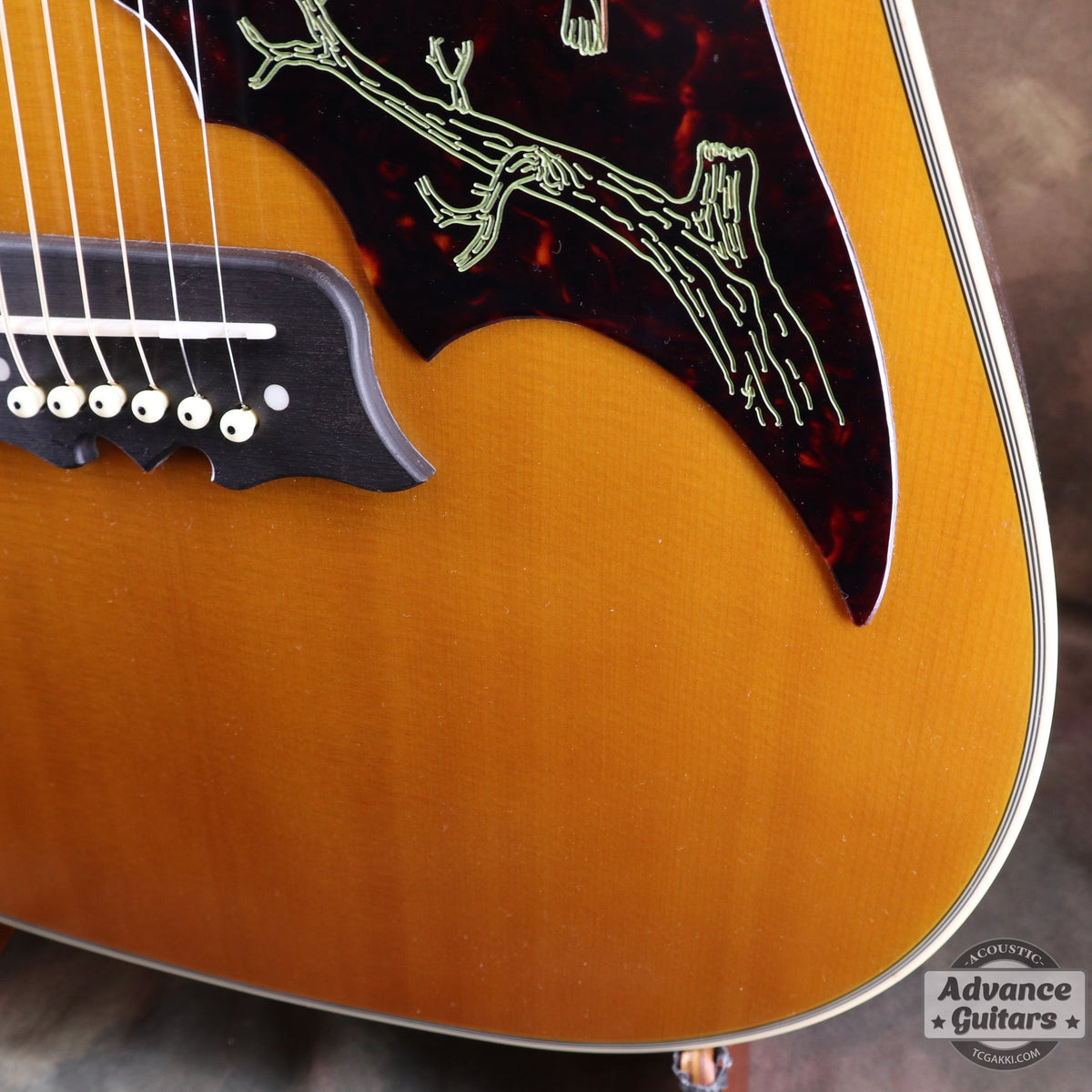 Epiphone 2023年製 Masterbilt Excellente FT120 - TC楽器 - TCGAKKI