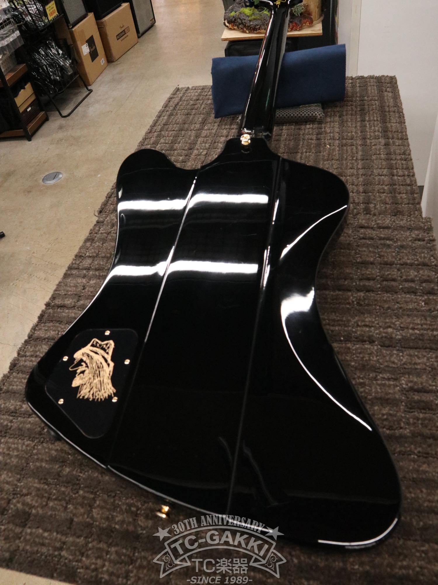 Epiphone 2024 Rex Brown Thunderbird - TC楽器 - TCGAKKI