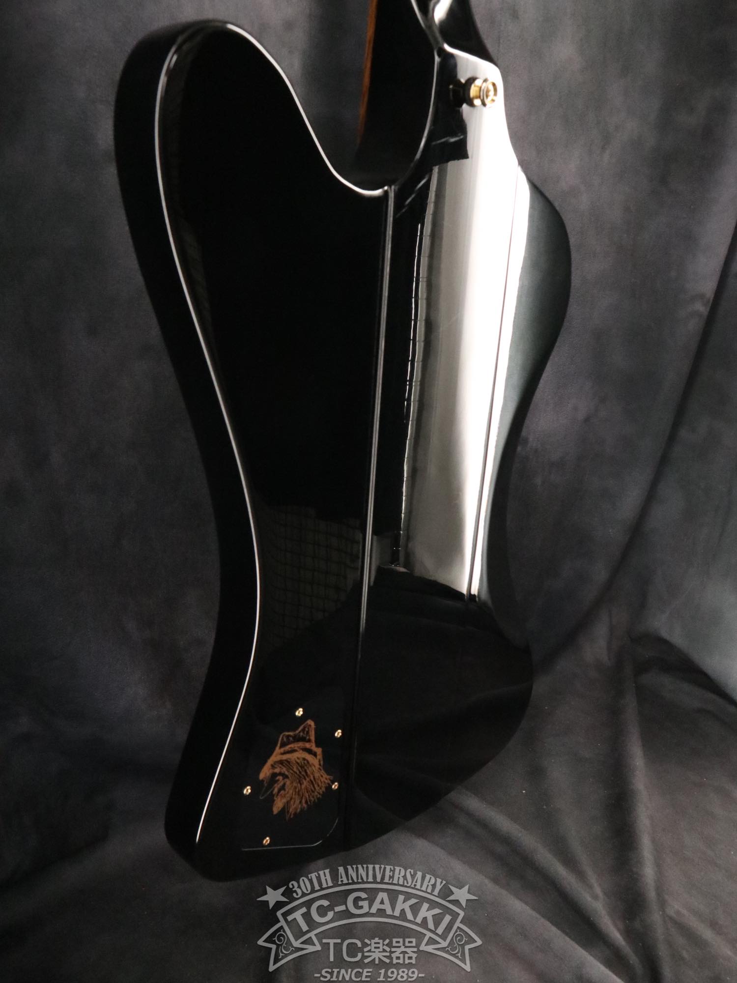 Epiphone 2024 Rex Brown Thunderbird
