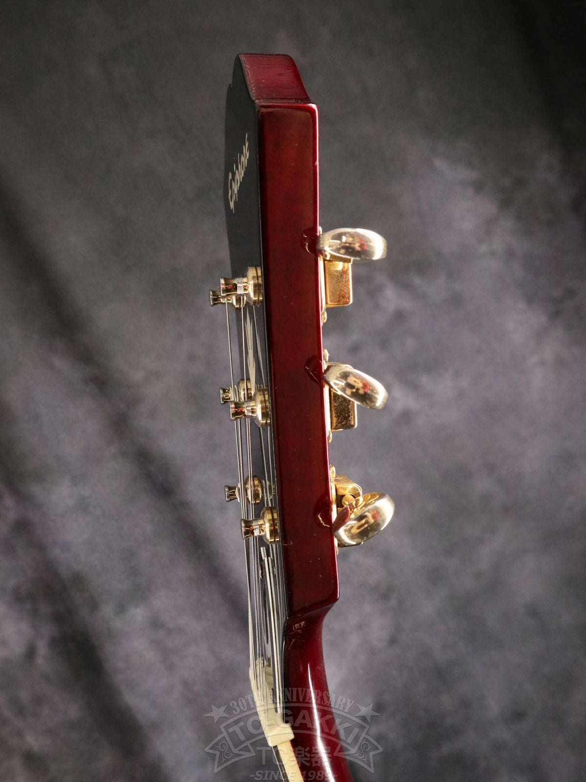 Epiphone Riviera P93 - TC楽器 - TCGAKKI