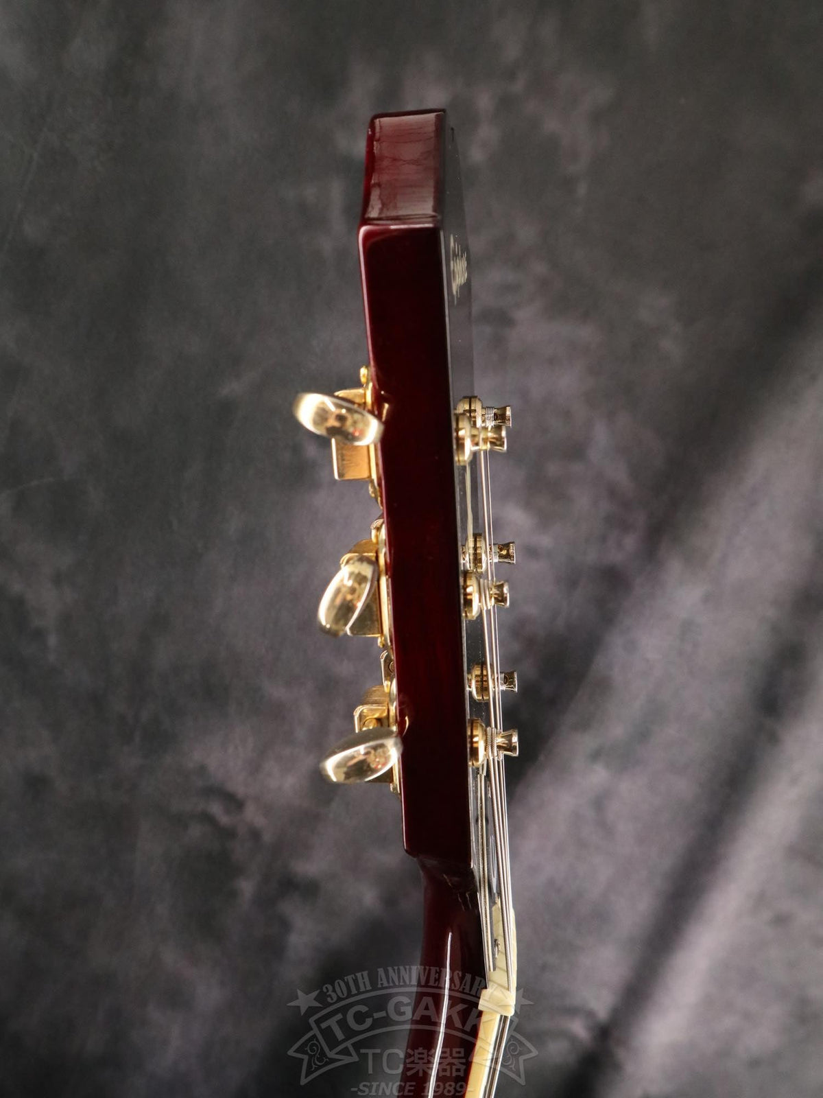 Epiphone Riviera P93 - TC楽器 - TCGAKKI