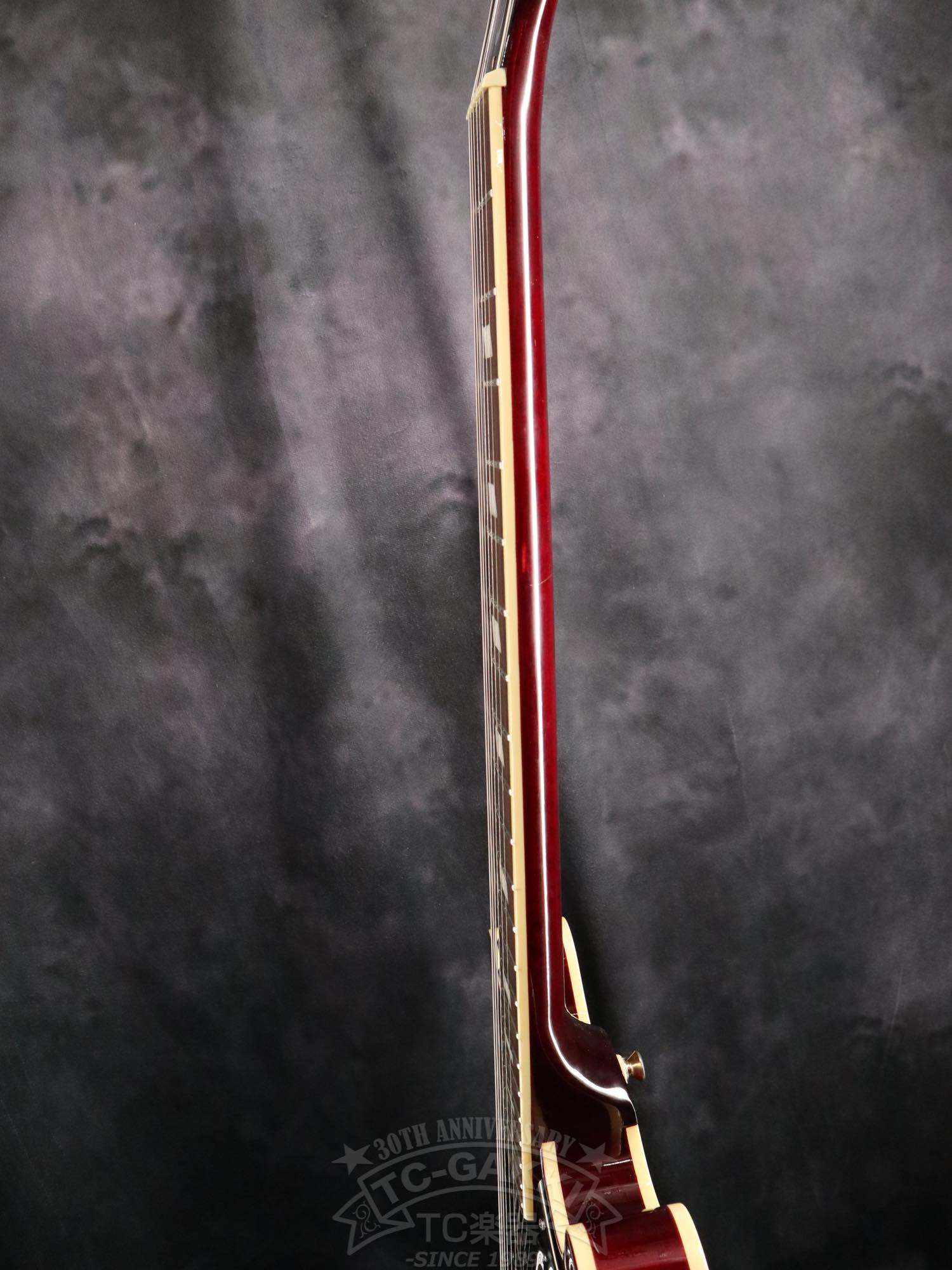 Epiphone Riviera P93 - TC楽器 - TCGAKKI