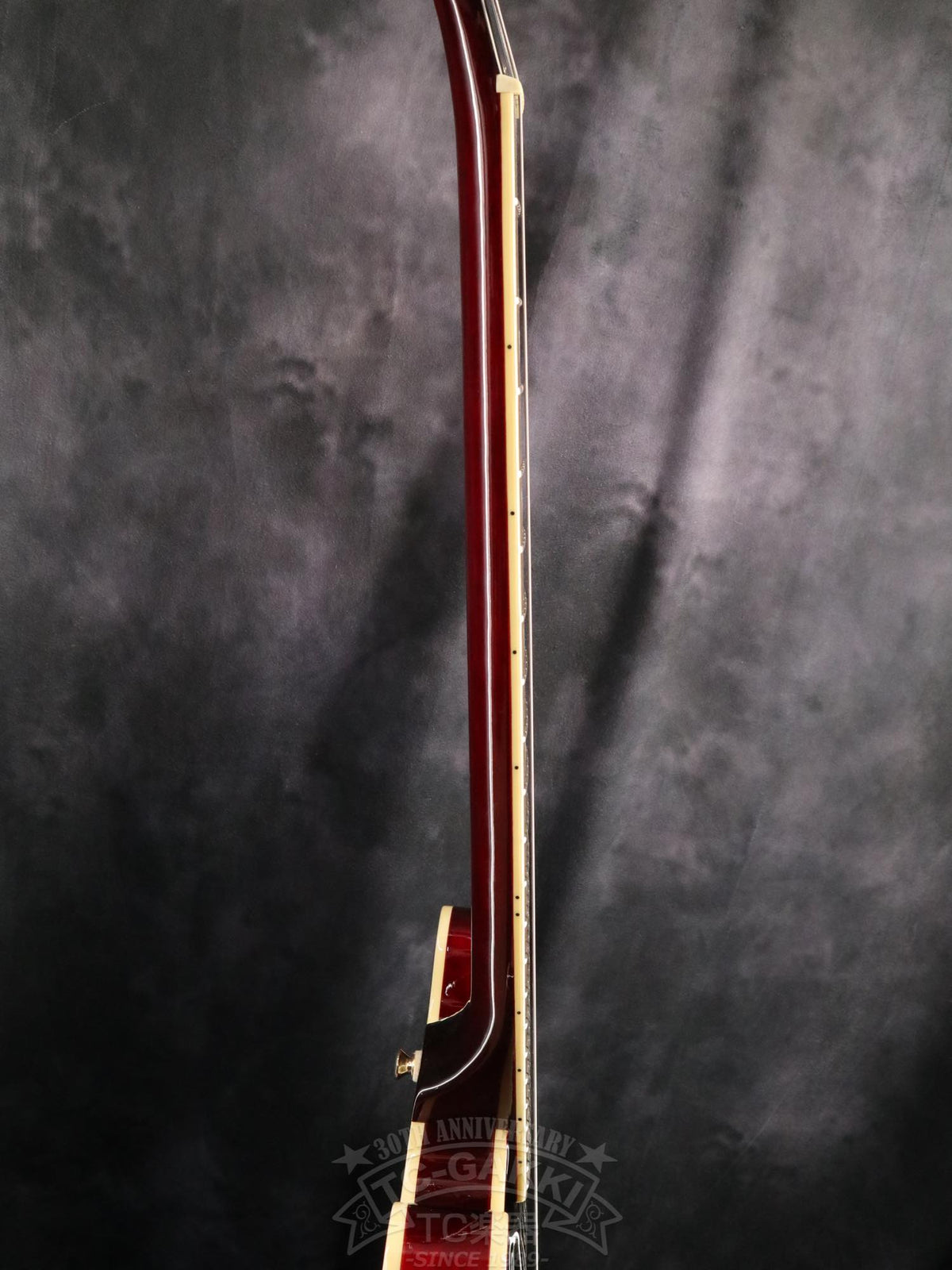 Epiphone Riviera P93 - TC楽器 - TCGAKKI
