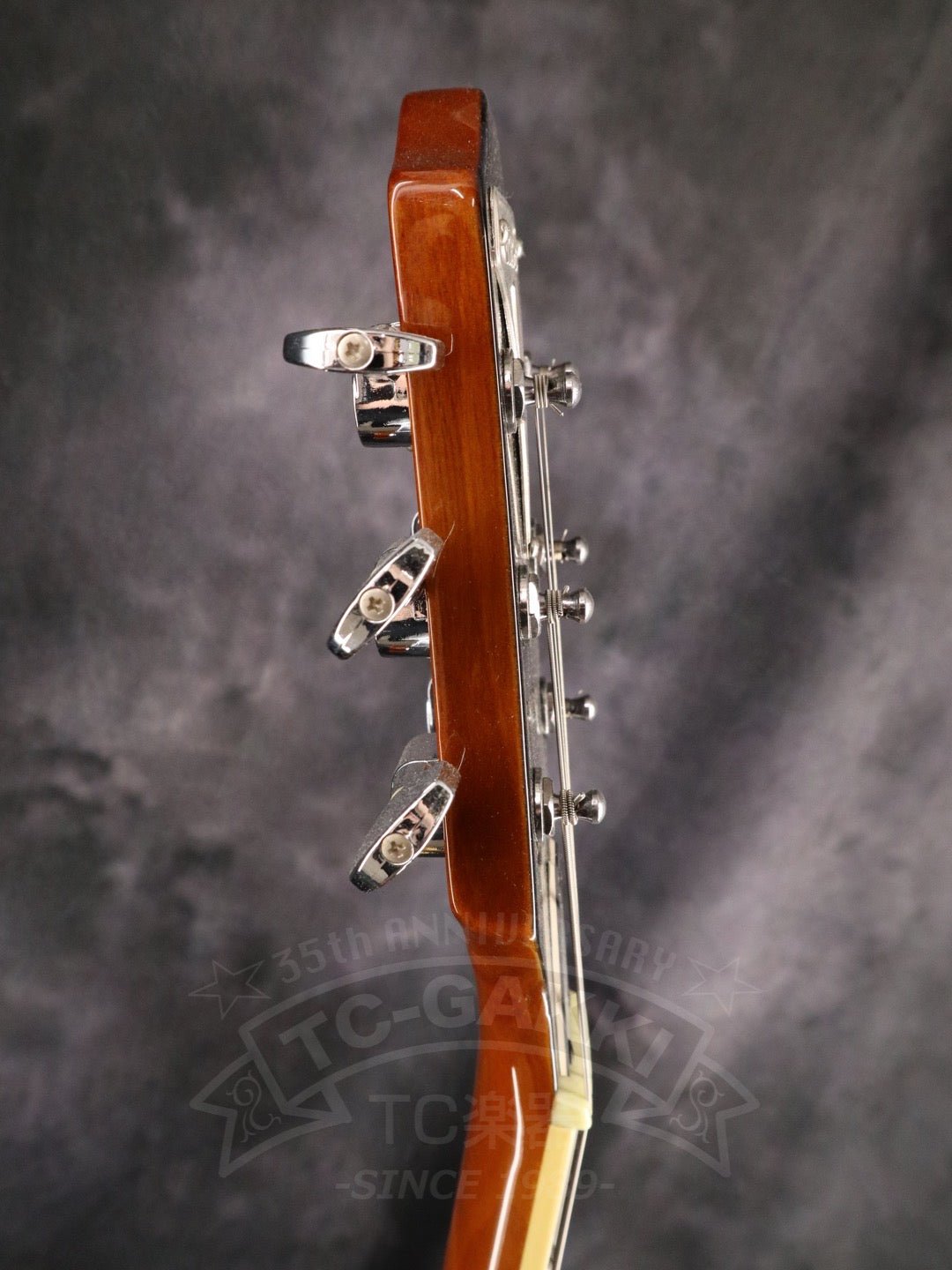 Epiphone Wildkat