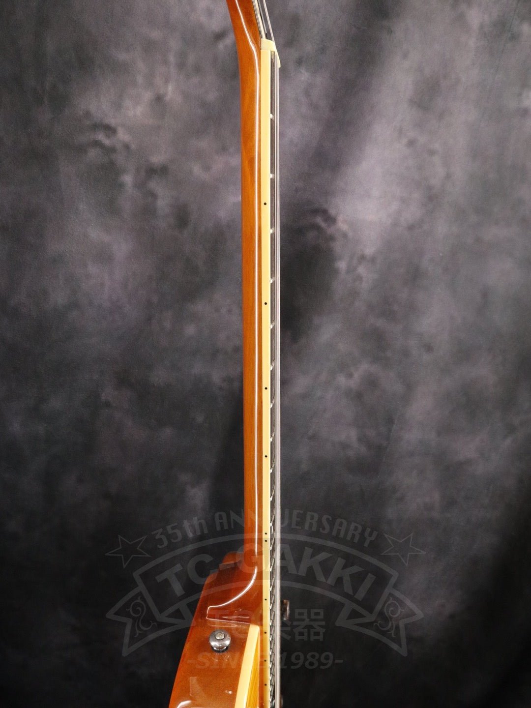  Epiphone Wildkat - TC楽器 - TCGAKKI