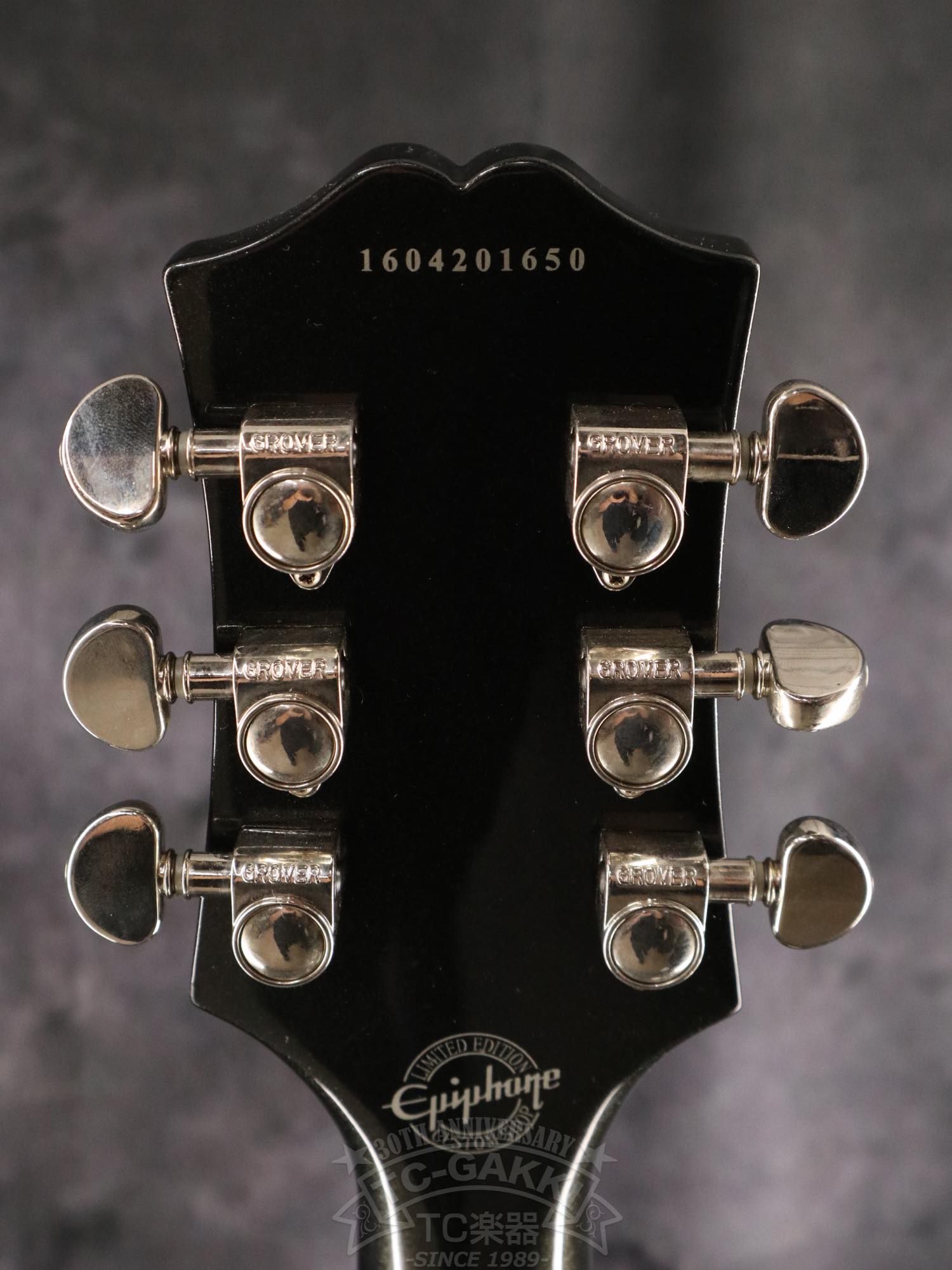 Epiphone WILDKAT - TC楽器 - TCGAKKI