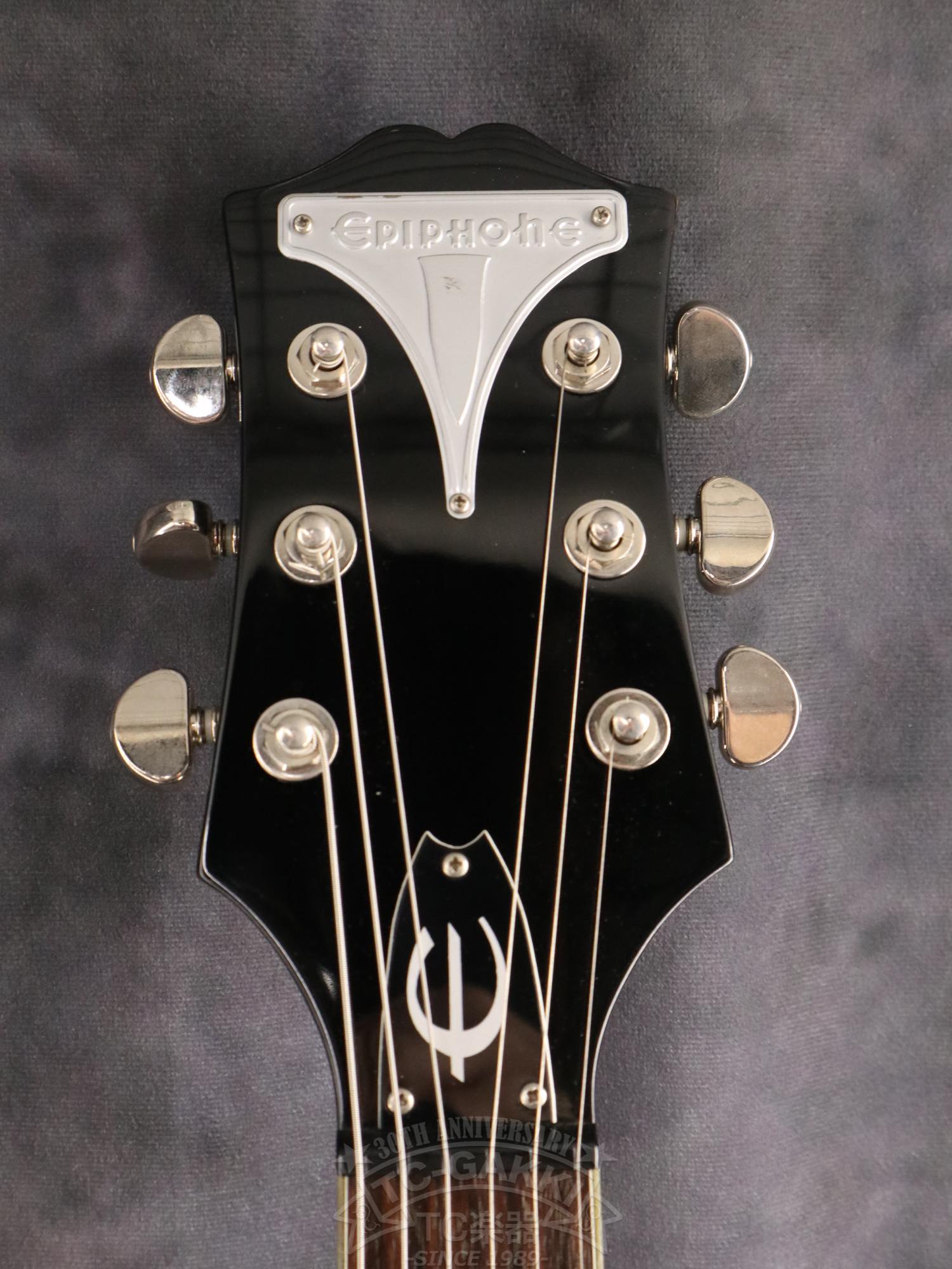 Epiphone WILDKAT - TC楽器 - TCGAKKI