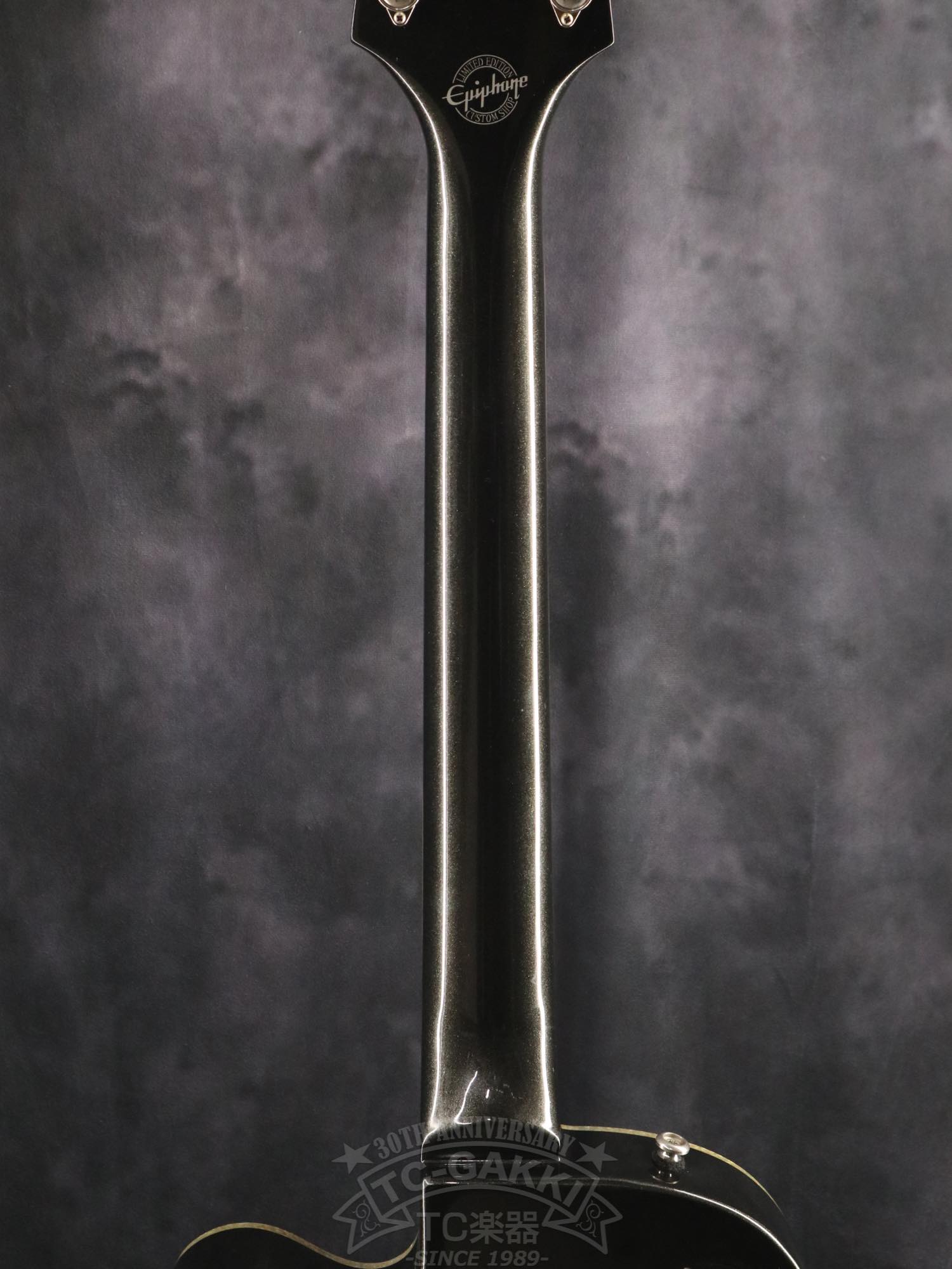 Epiphone WILDKAT - TC楽器 - TCGAKKI