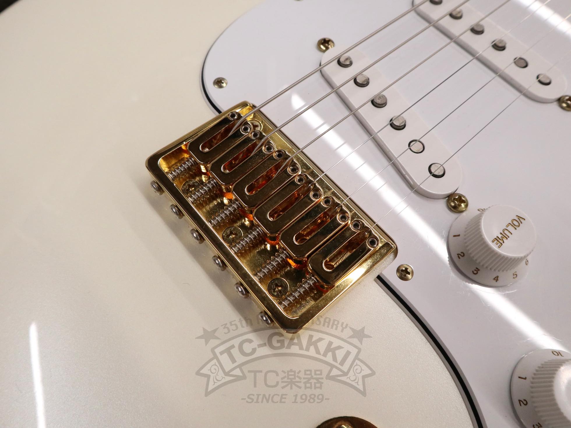 ESP Order Made ST Hard Tail Type - TC楽器 - TCGAKKI