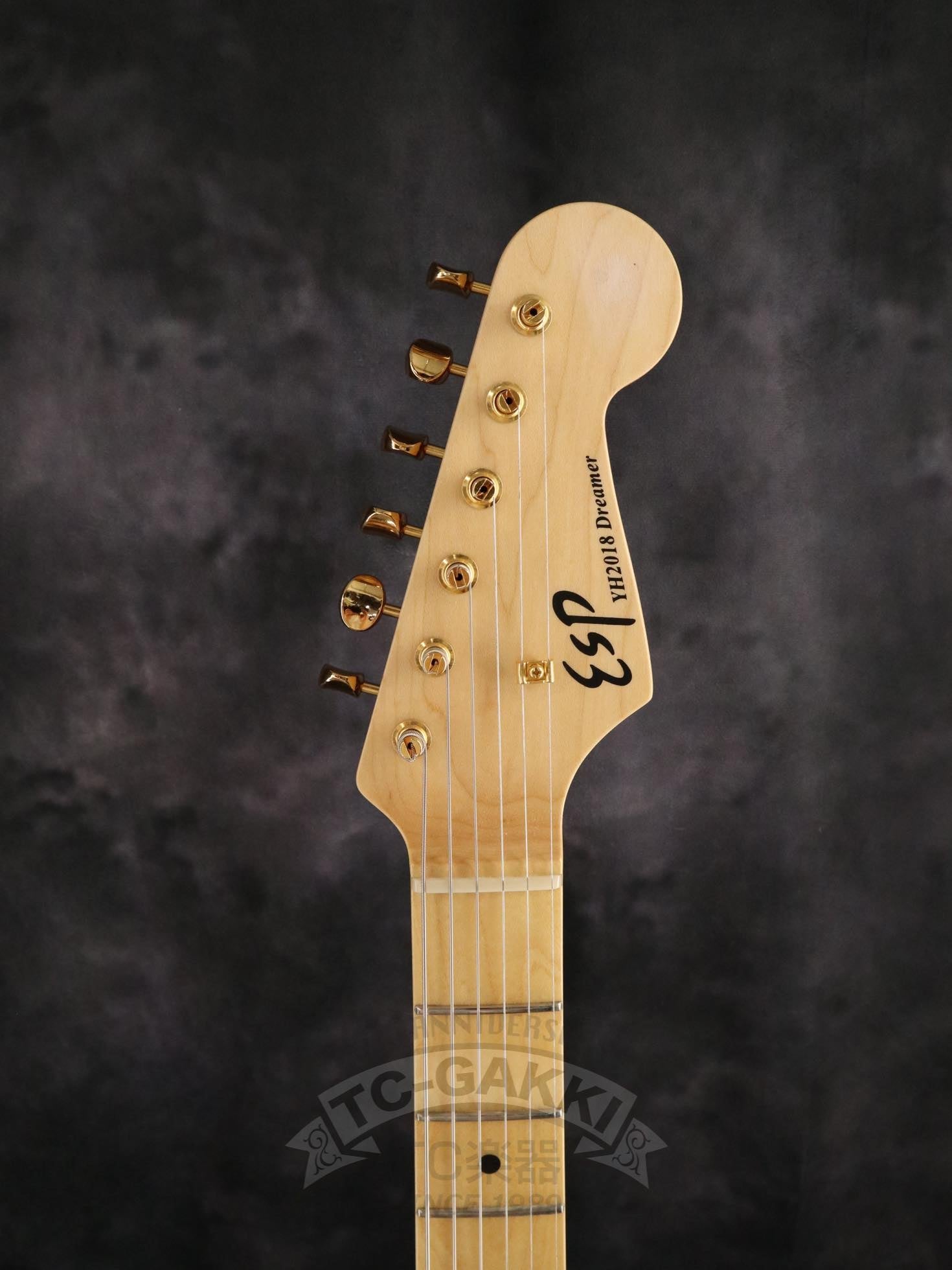ESP Order Made ST Hard Tail Type - TC楽器 - TCGAKKI