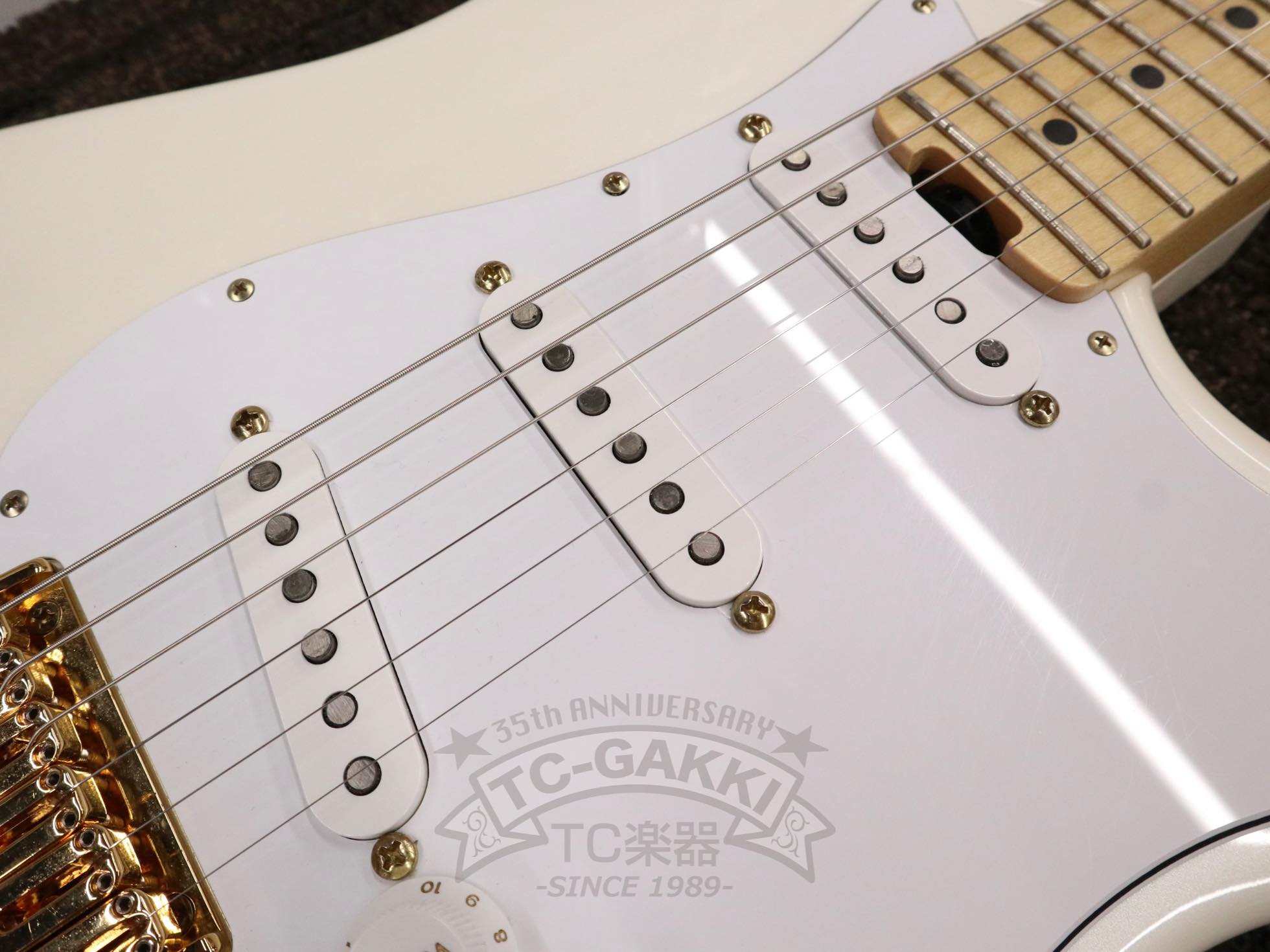 ESP Order Made ST Hard Tail Type - TC楽器 - TCGAKKI