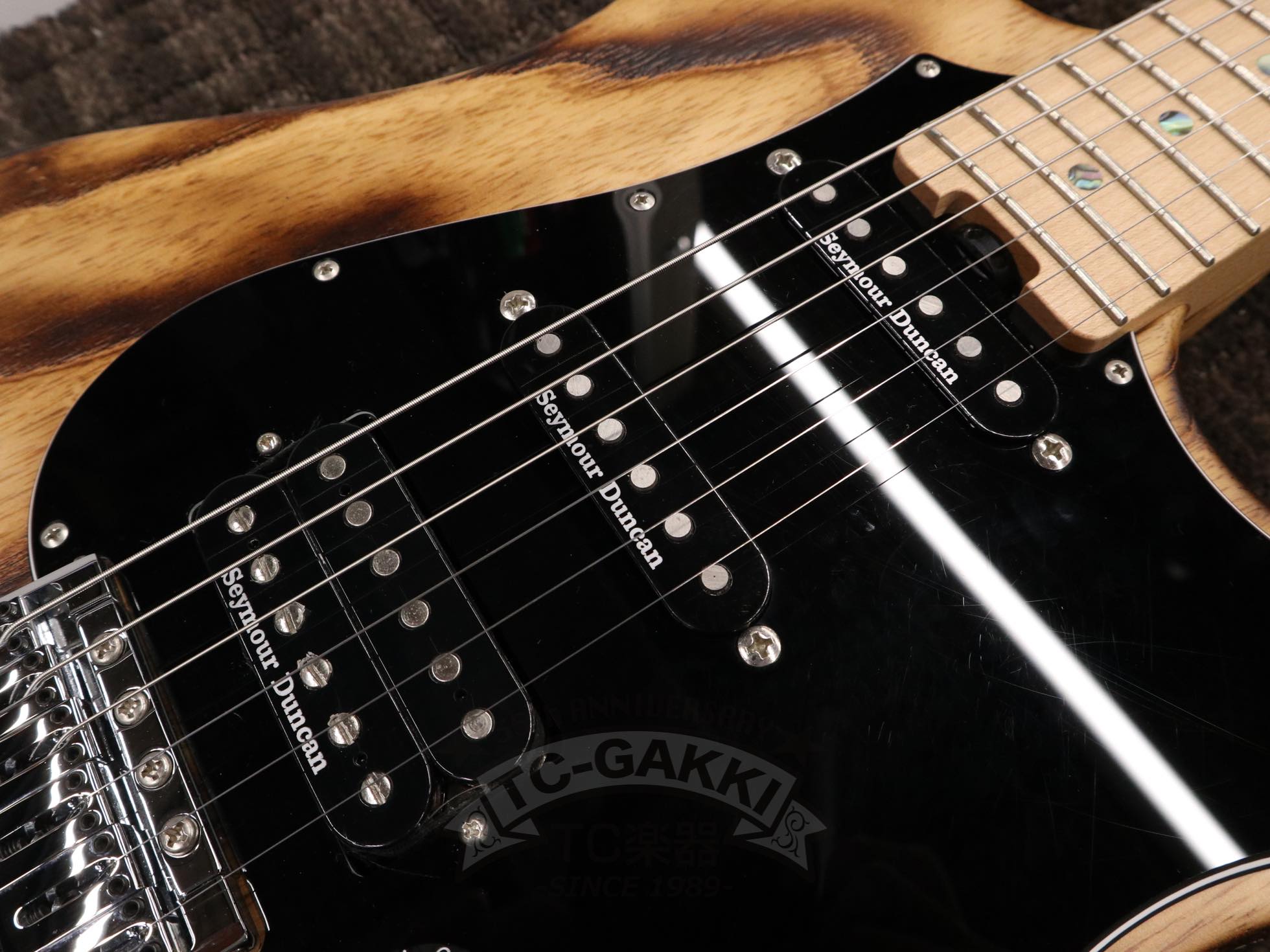 ESP SNAPPER - AS - TC楽器 - TCGAKKI
