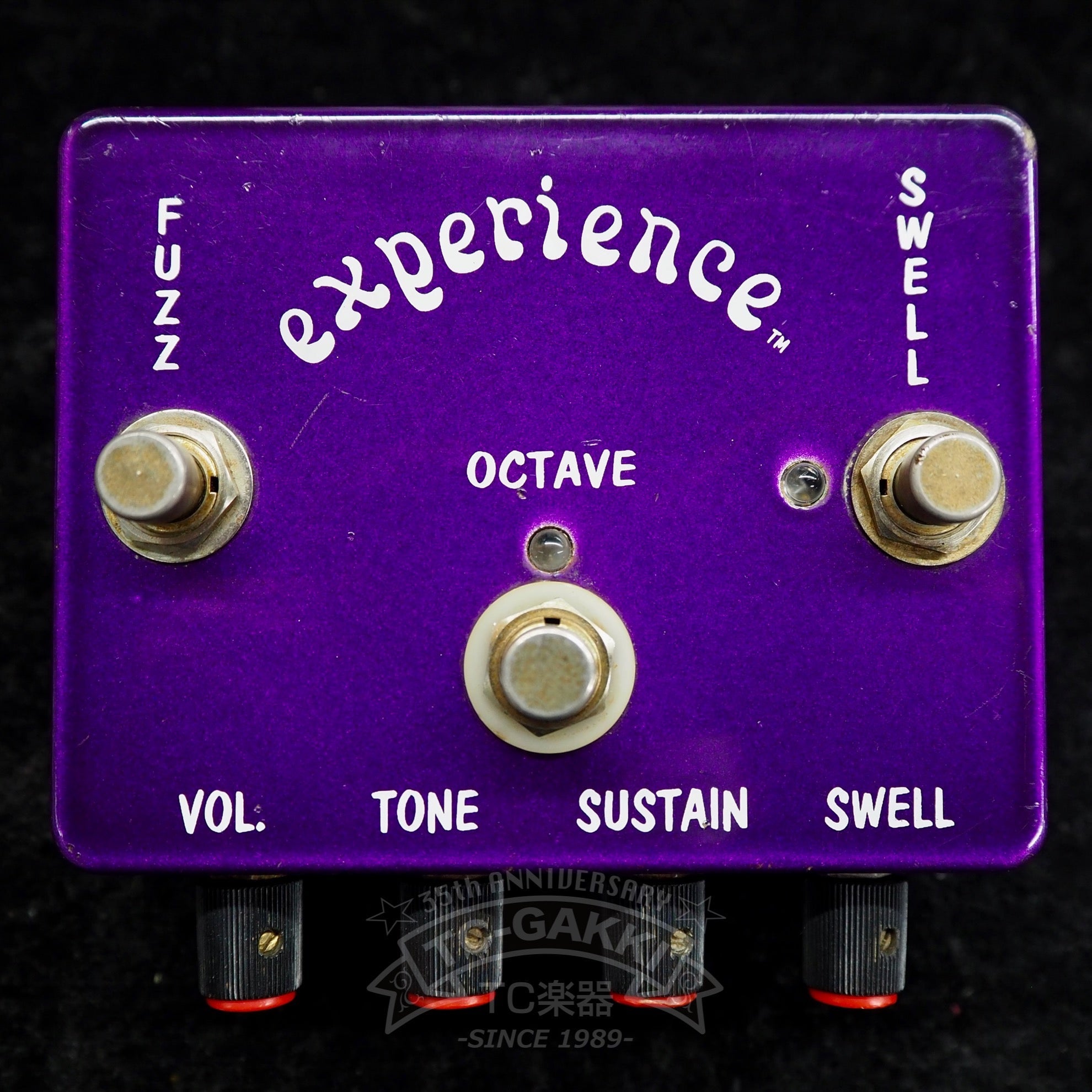 experience fuzz - TC楽器 - TCGAKKI