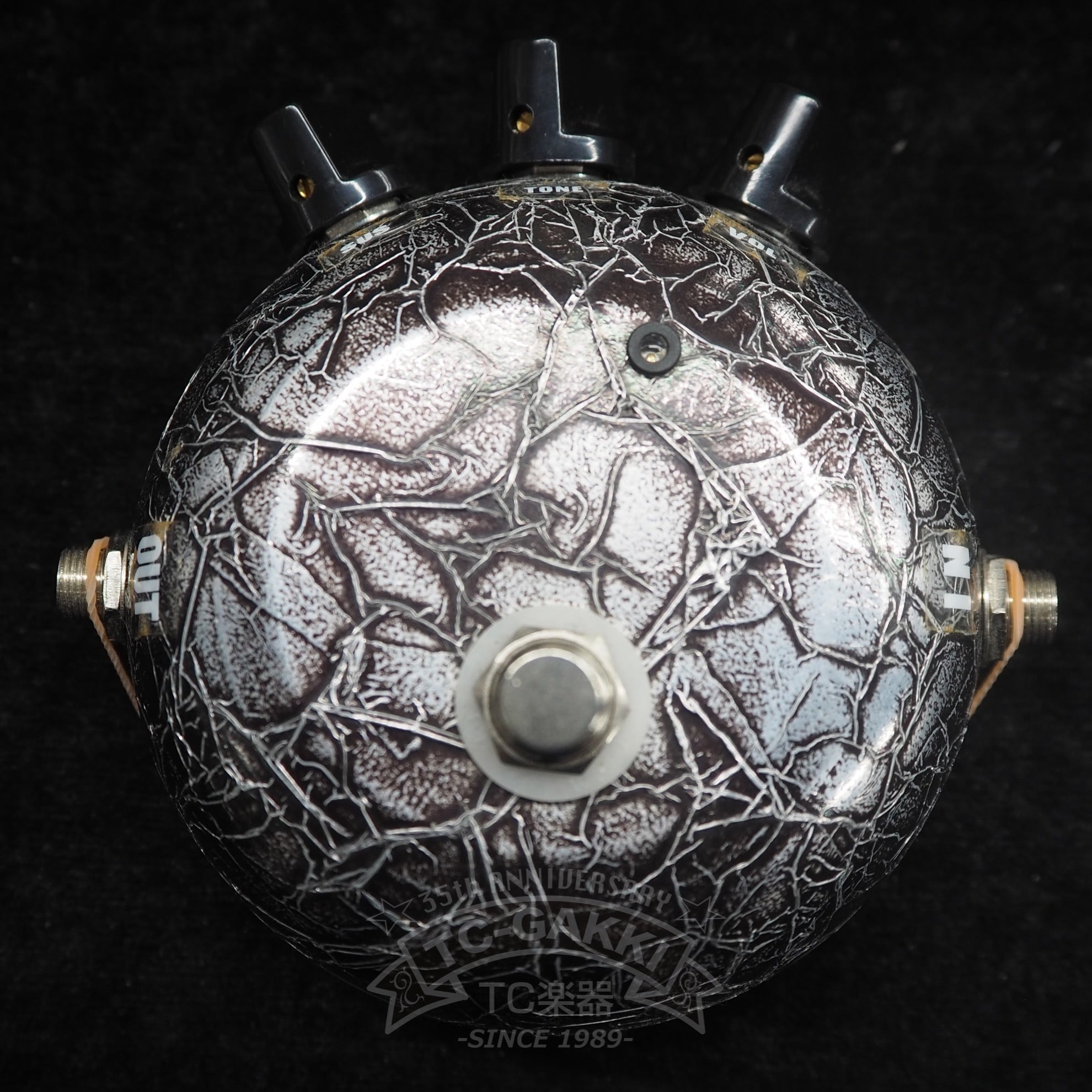 Far East Electric BLACK GIBEON - TC楽器 - TCGAKKI