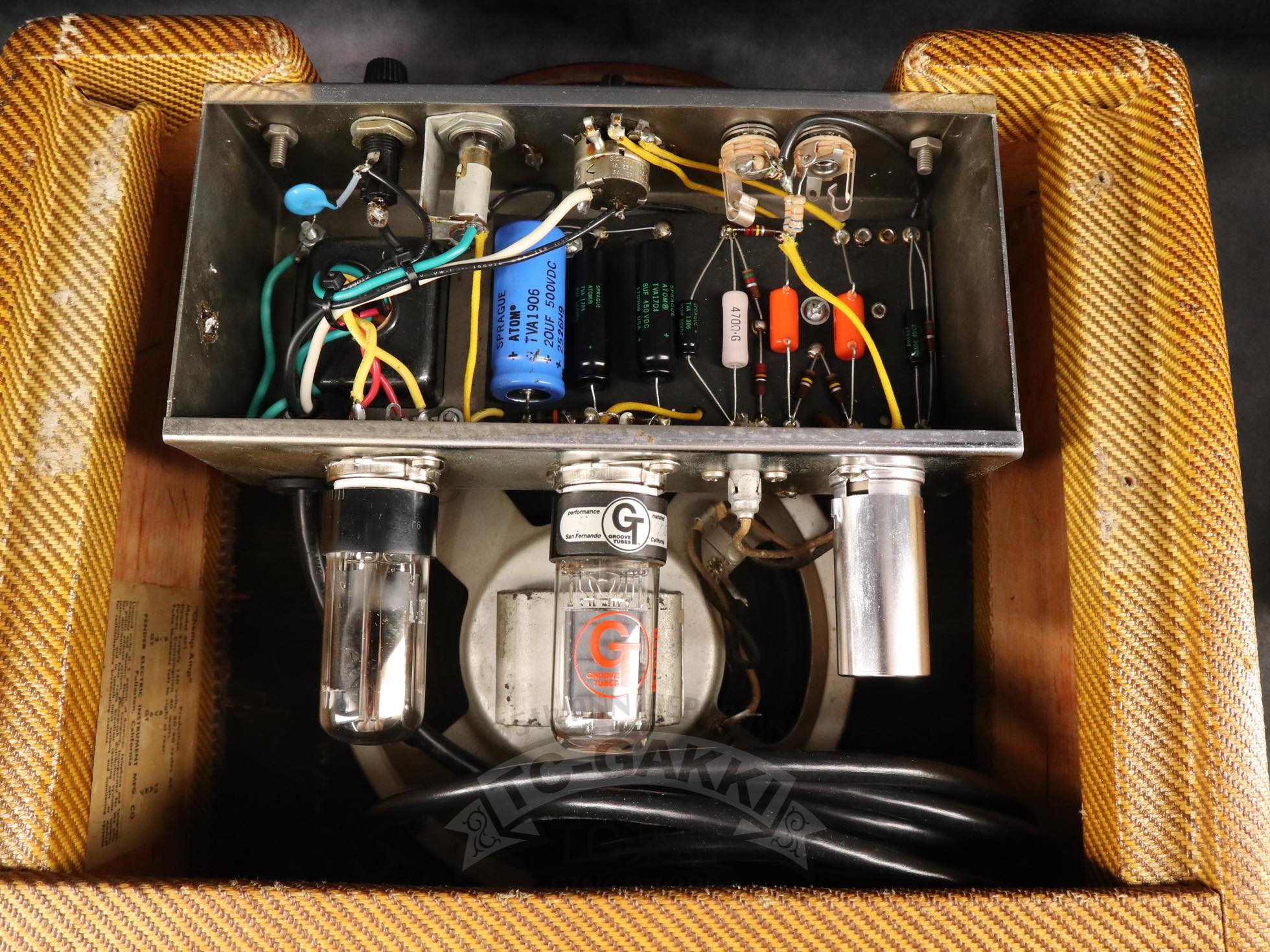 Fender 1959 Champ 5F1 - TC楽器 - TCGAKKI