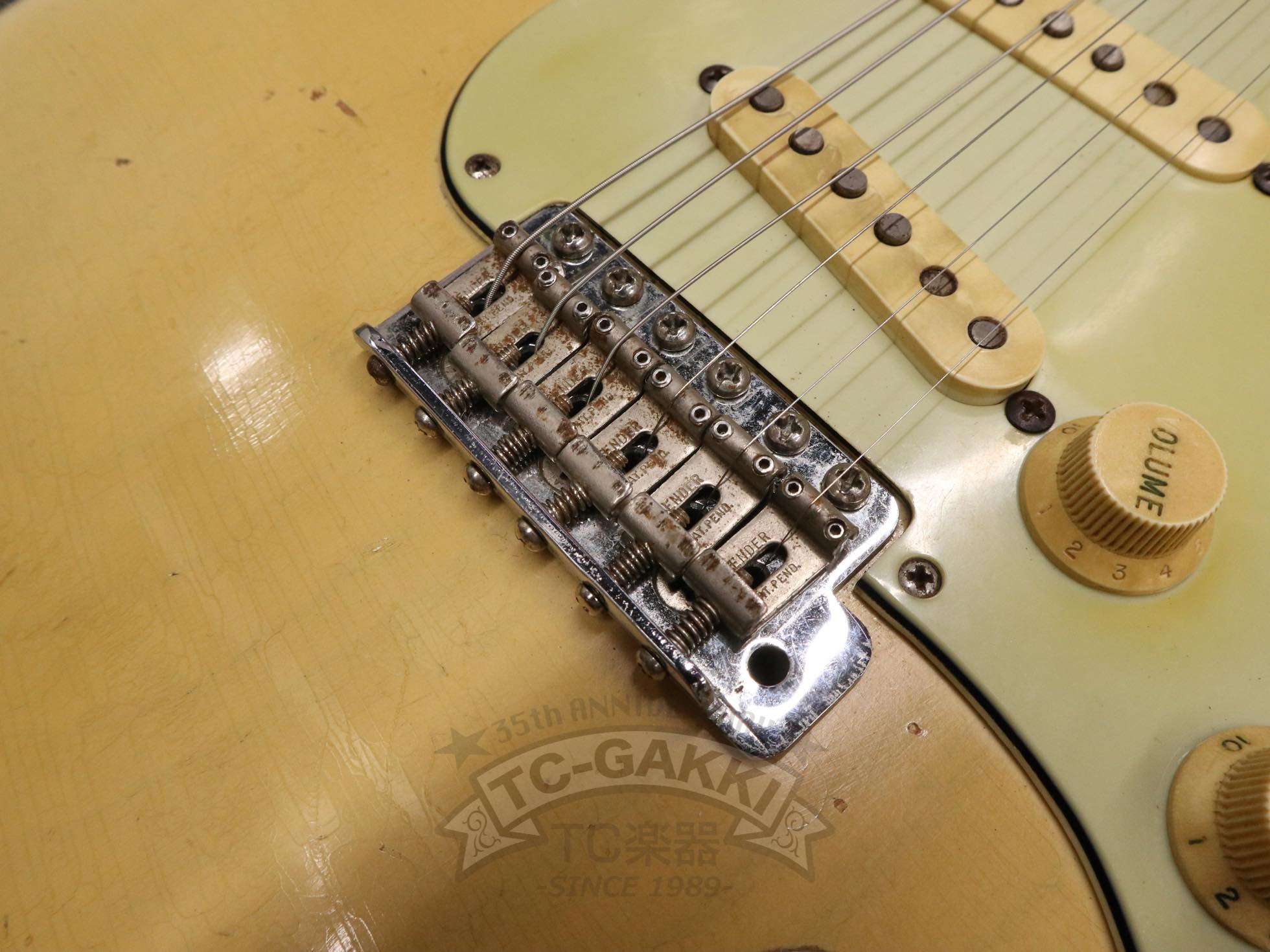 Fender 1959 Stratocaster Blonde / Ash - TC楽器 - TCGAKKI