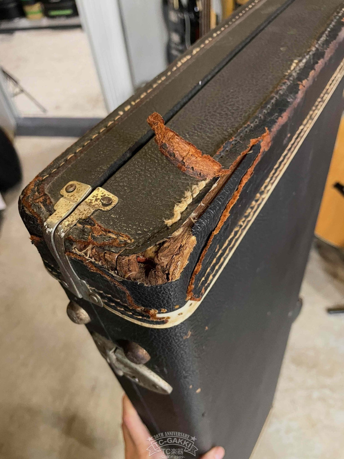 Fender 1966 Jazz Bass Refinish. - TC楽器 - TCGAKKI