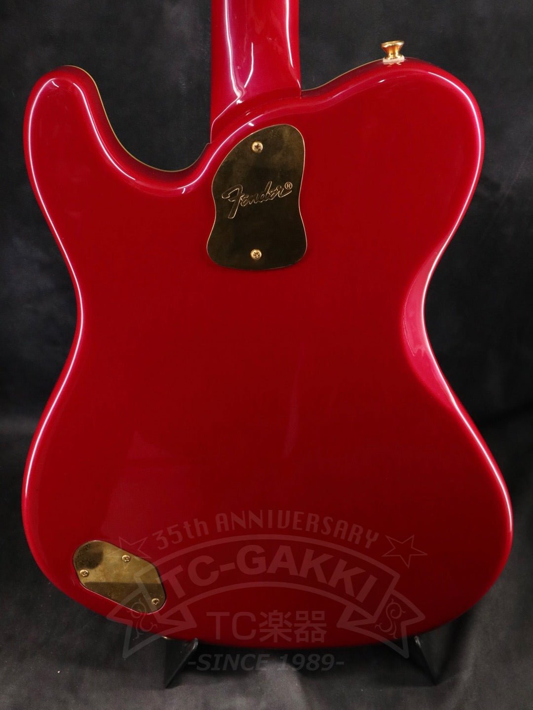 Fender Japan Terry-1 ANNIVERSARY Mod - TC楽器 - TCGAKKI