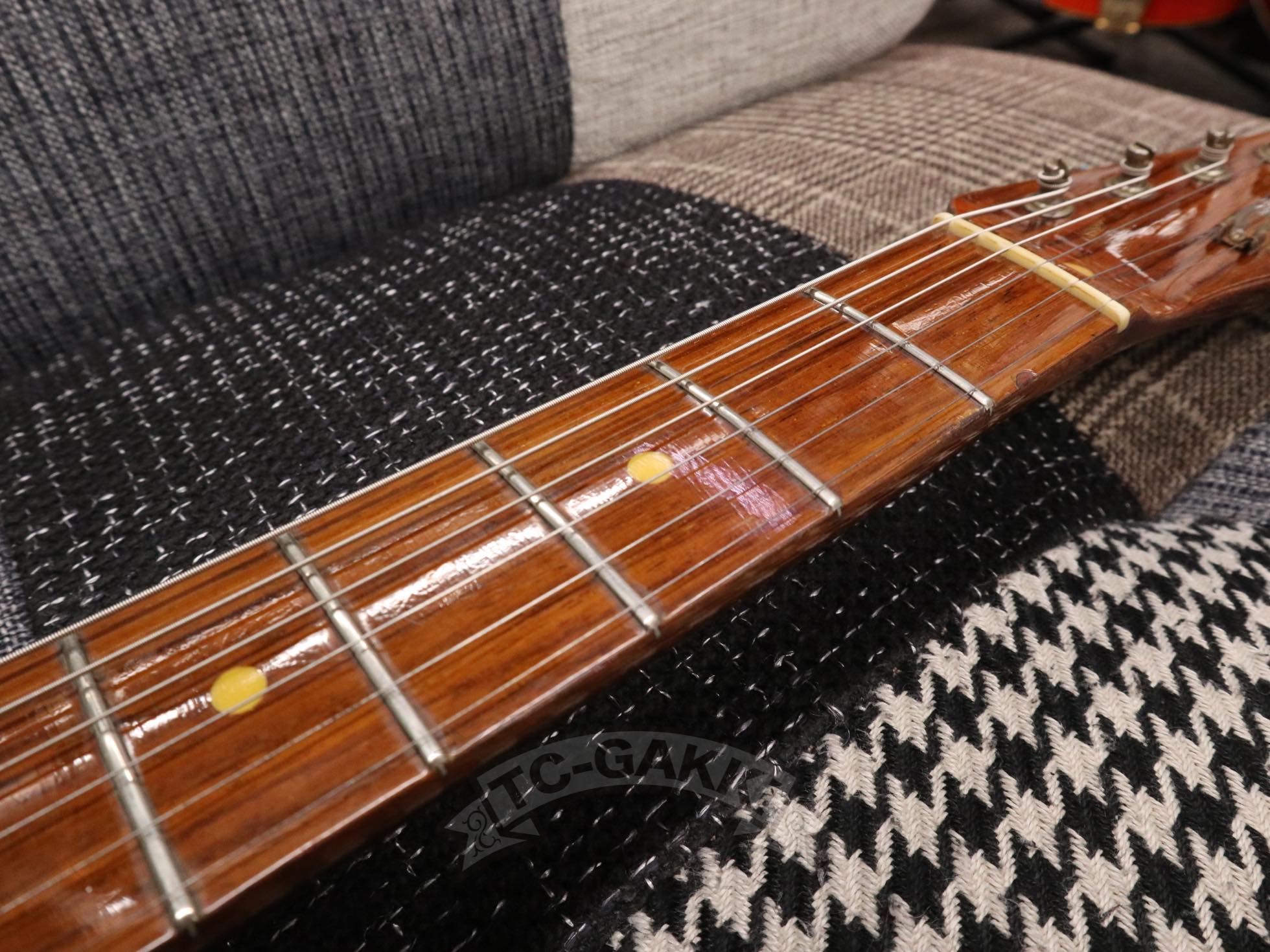Fender Japan TL69 All Rose - TC楽器 - TCGAKKI