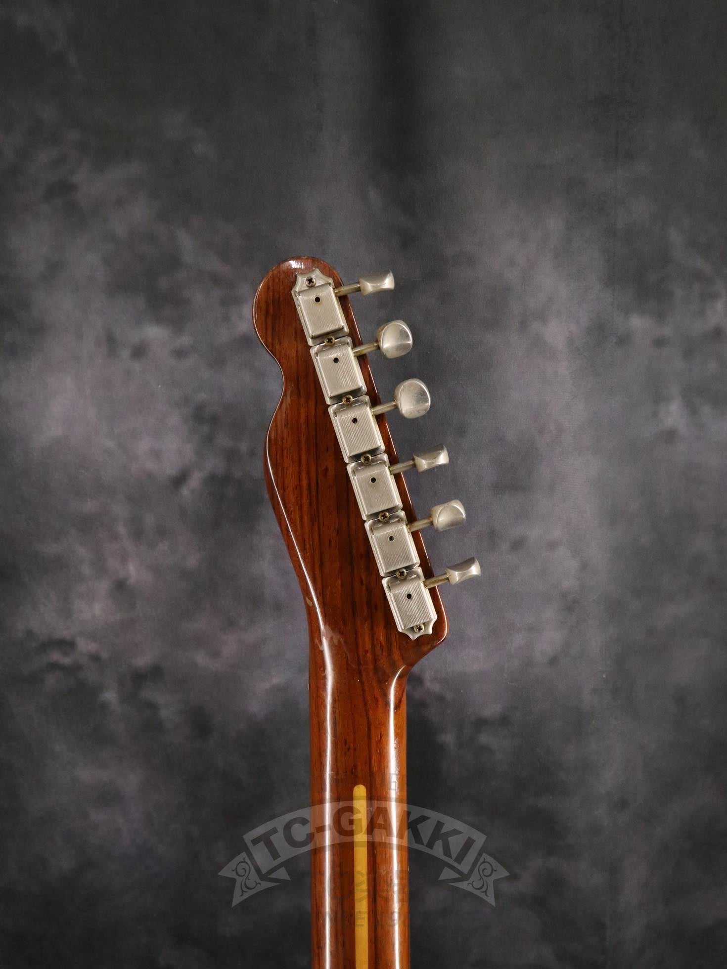 Fender Japan TL69 All Rose - TC楽器 - TCGAKKI