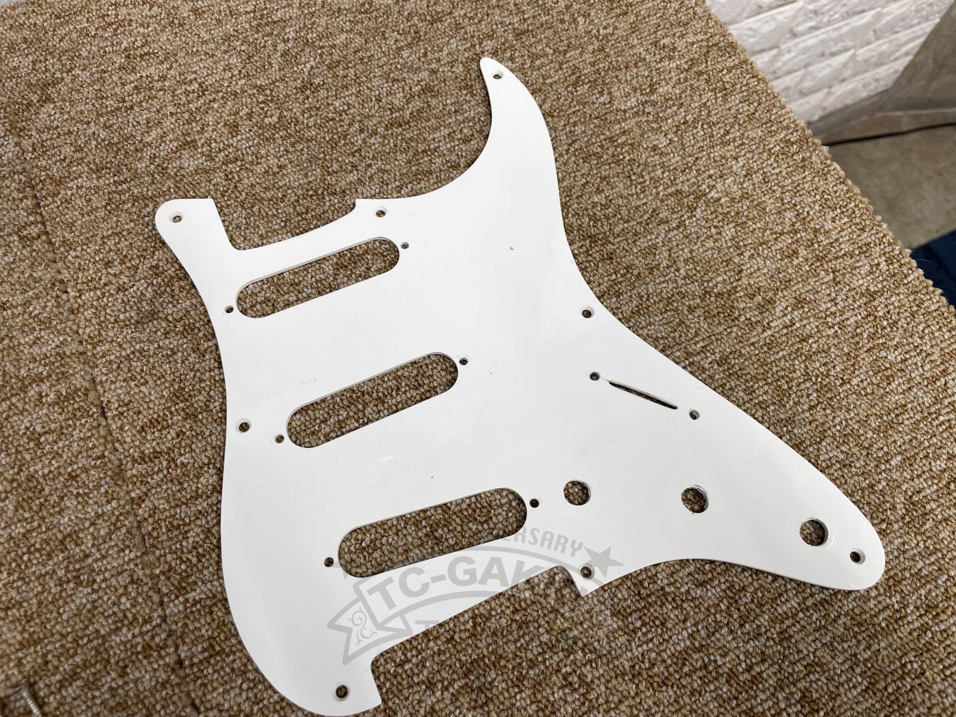 Fender Mexico Pick Gard & Back Panel - TC楽器 - TCGAKKI