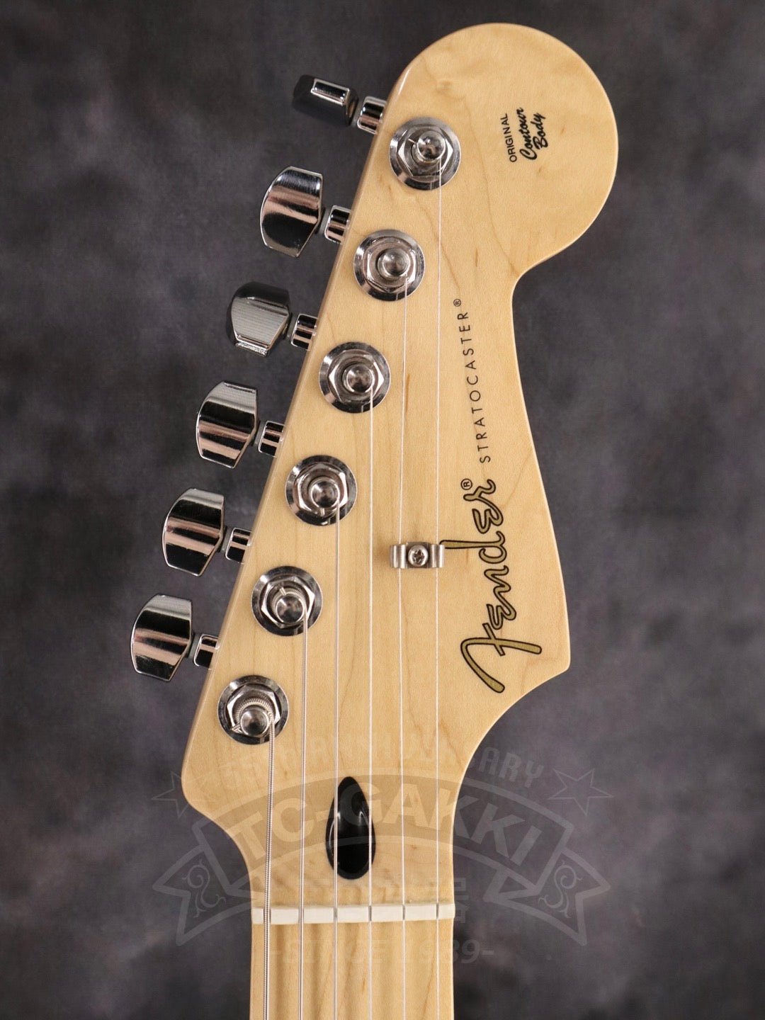 Fender Mexico Player Stratocaster HSS - TC楽器 - TCGAKKI