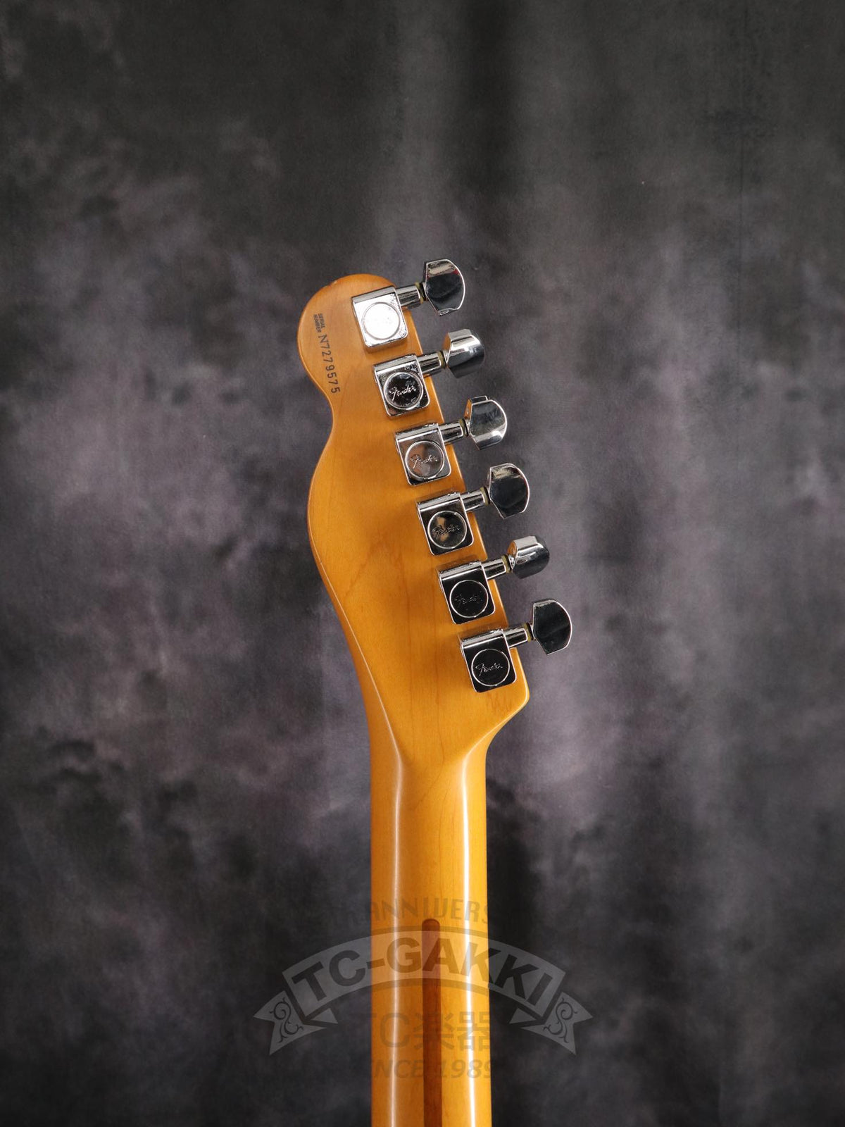 Fender USA 1997 90s Tele Thinline American Special Series - TC楽器 - TCGAKKI