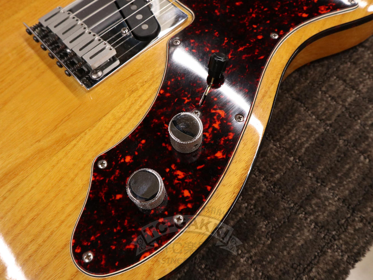 Fender USA 1997 90s Tele Thinline American Special Series - TC楽器 - TCGAKKI