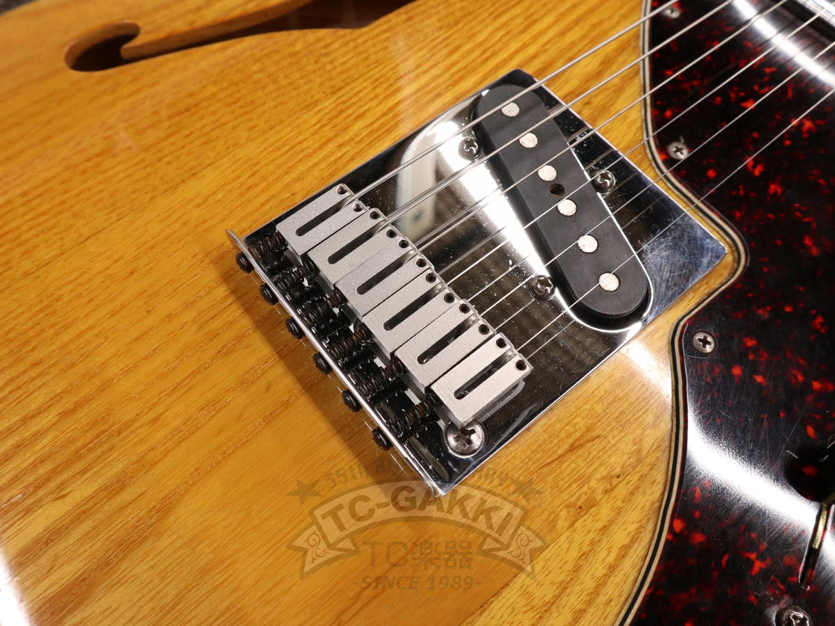 Fender USA 1997 90s Tele Thinline American Special Series - TC楽器 - TCGAKKI