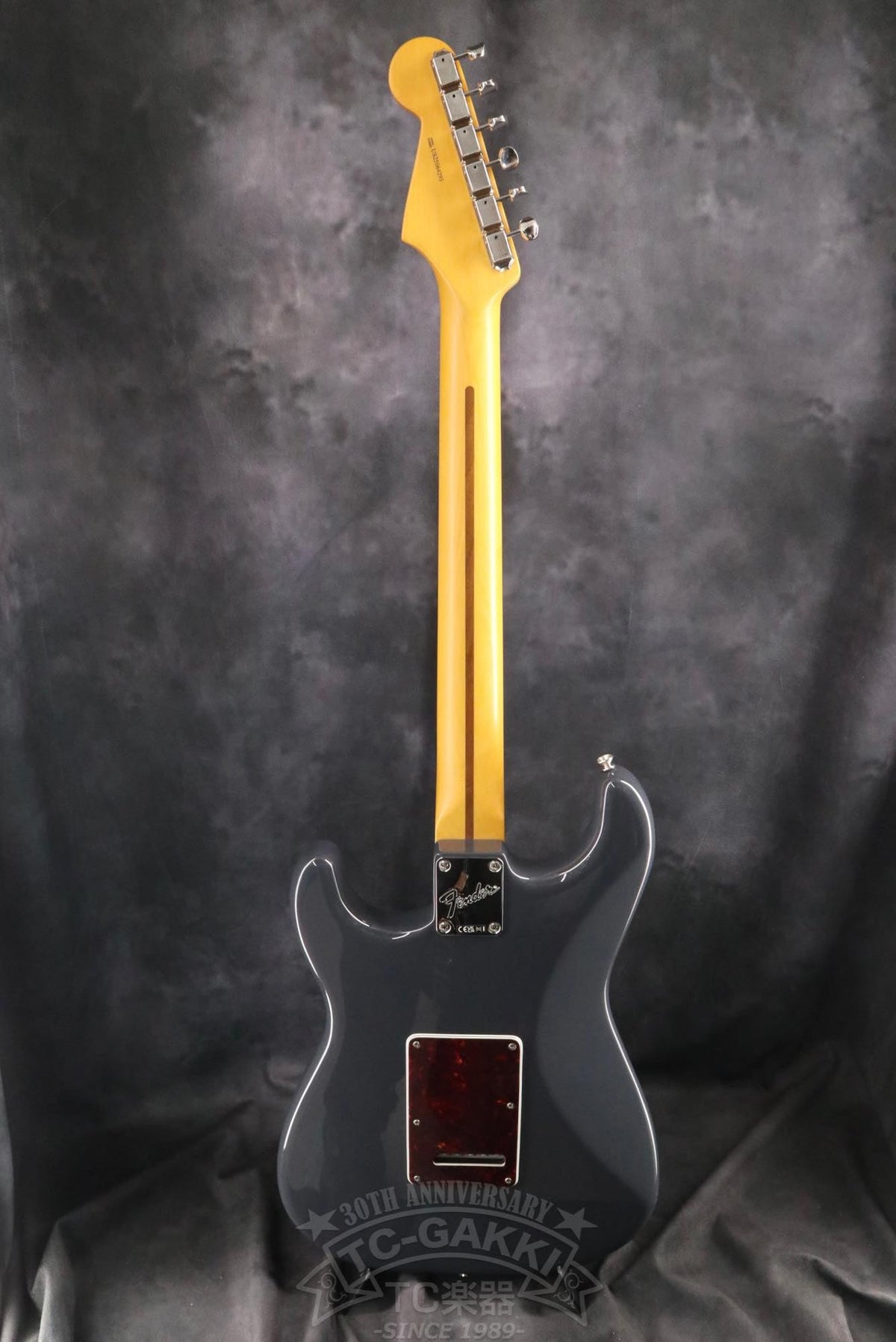 Fender USA American Professional Classic Stratocaster - TC楽器 - TCGAKKI