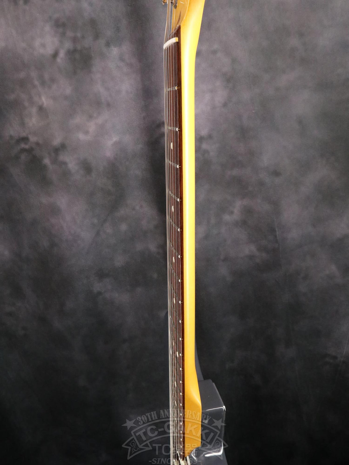 Fender USA American Professional Classic Stratocaster - TC楽器 - TCGAKKI
