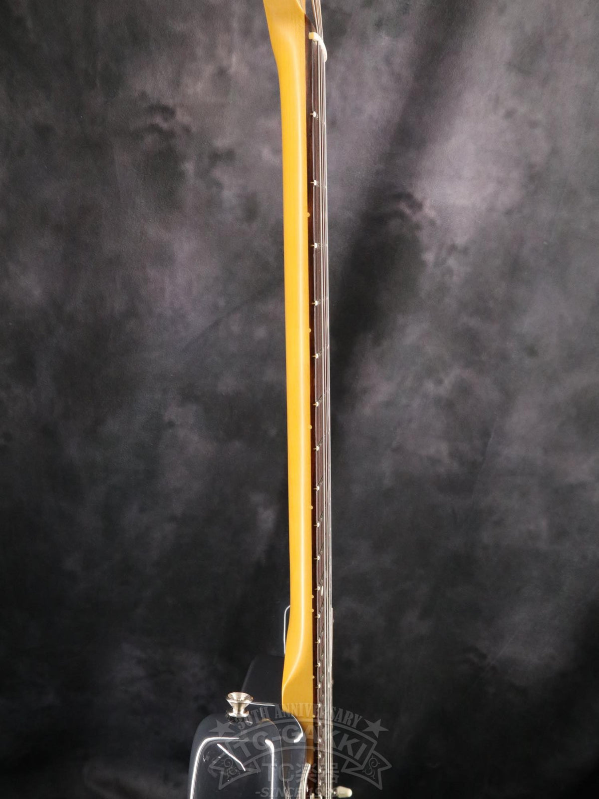 Fender USA American Professional Classic Stratocaster - TC楽器 - TCGAKKI