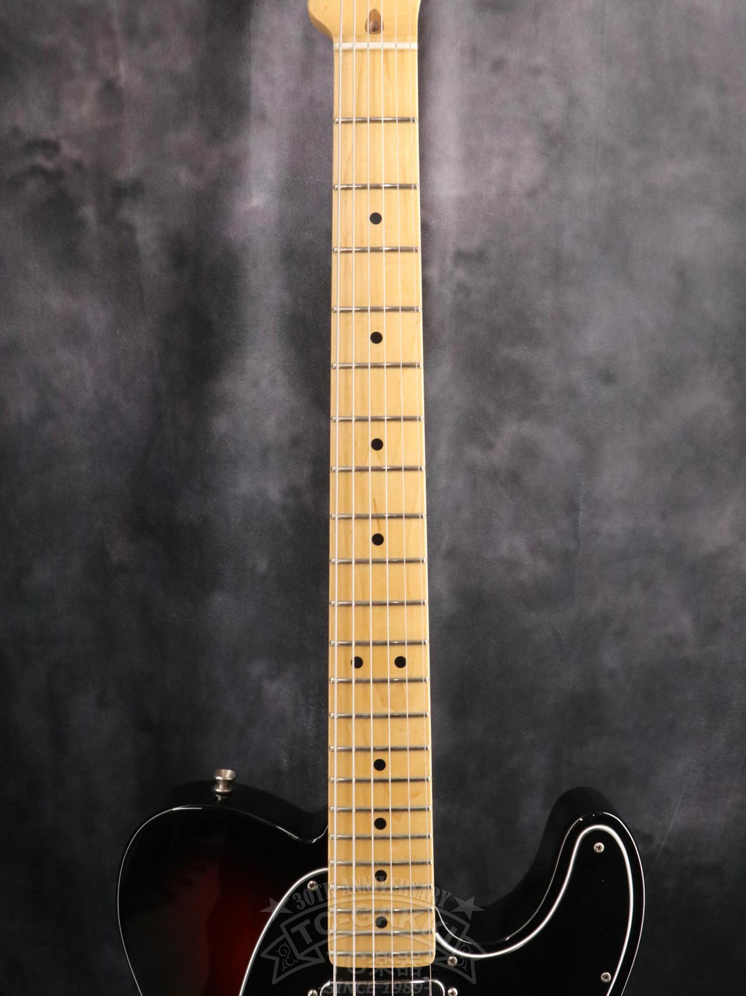 Fender USA American Special Telecaster - TCGAKKI - TCGakki - TCGAKKI