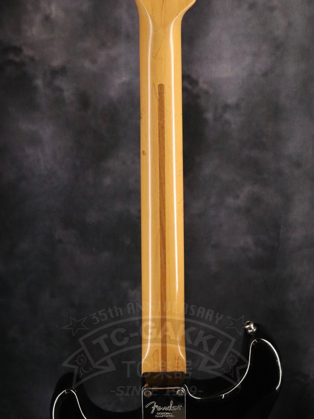 Fender USA American Standard Stratocaster - TC楽器 - TCGAKKI