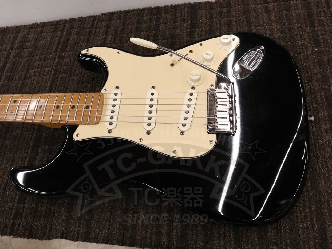 Fender USA American Standard Stratocaster - TC楽器 - TCGAKKI