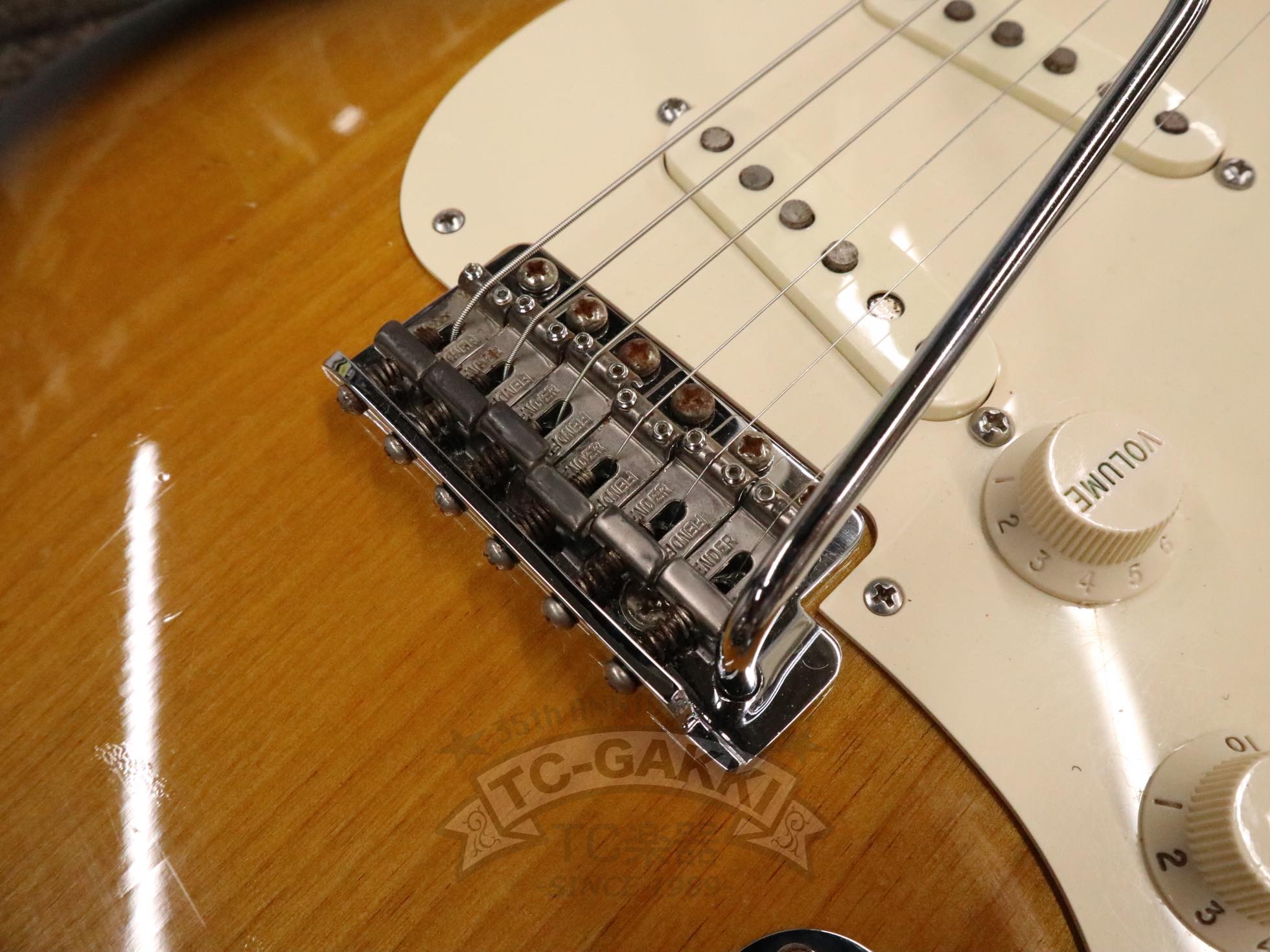 Fender USA Eric Johnson Stratocaster - TC楽器 - TCGAKKI