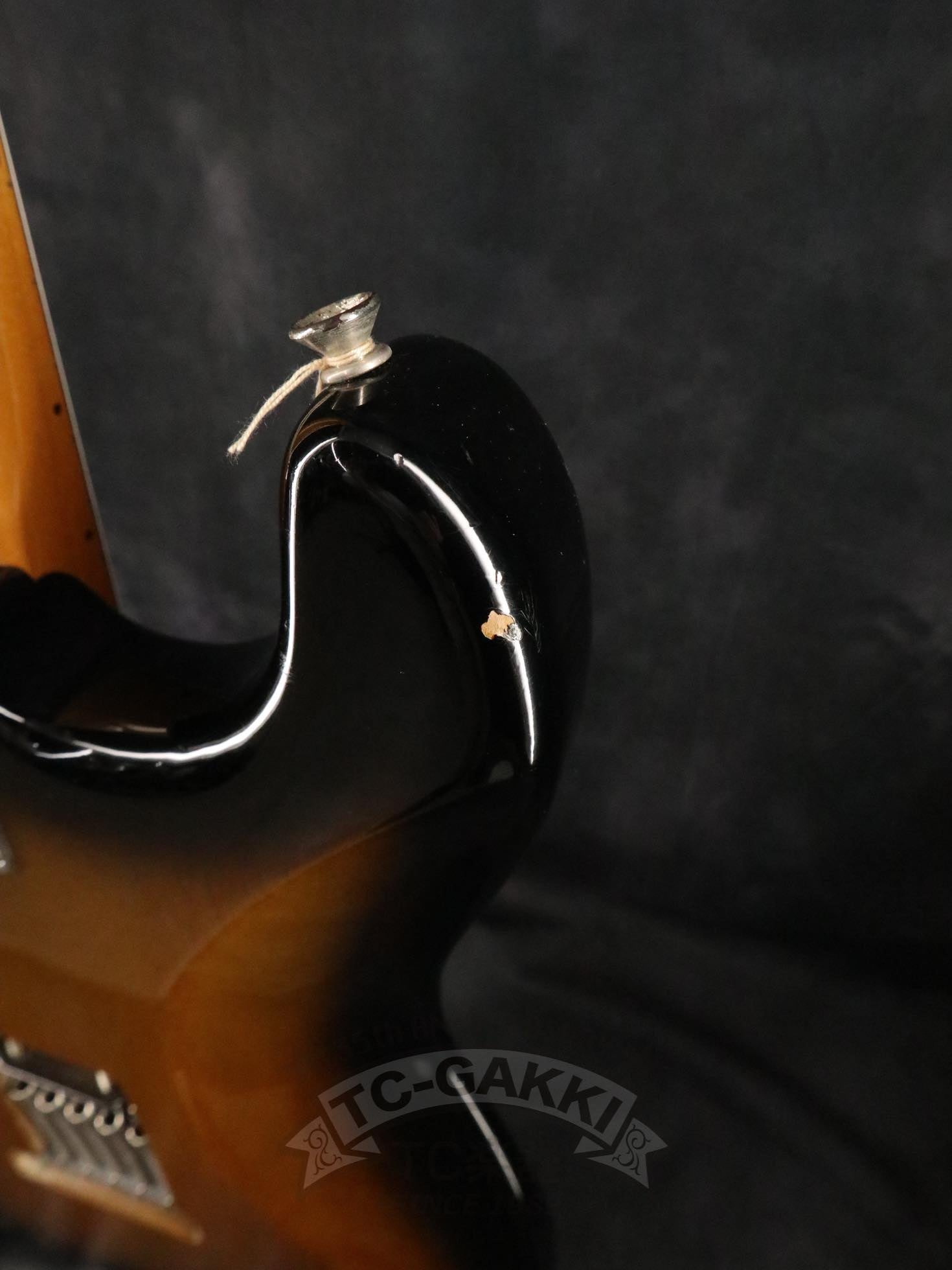 Fender USA Eric Johnson Stratocaster - TC楽器 - TCGAKKI