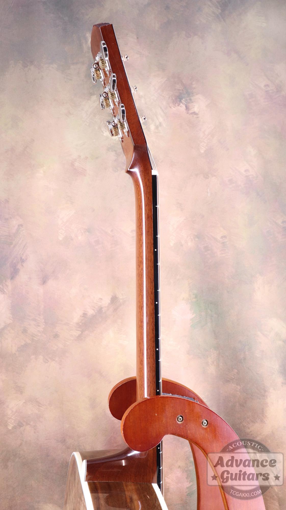 Flame Claro Walnut Dreadnought Advance Guitars Signature Model - TC楽器 - TCGAKKI