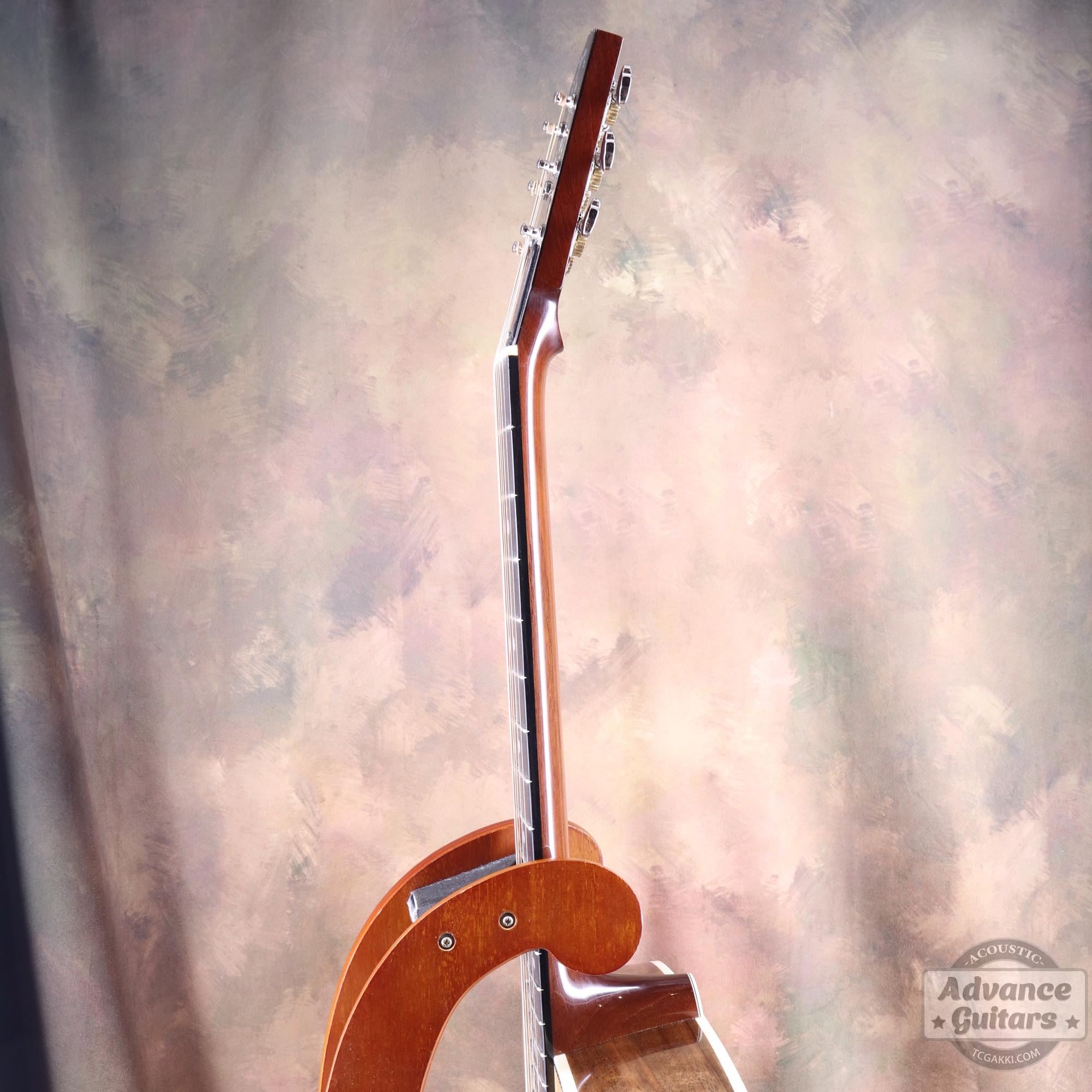 Flame Claro Walnut Dreadnought Advance Guitars Signature Model - TC楽器 - TCGAKKI
