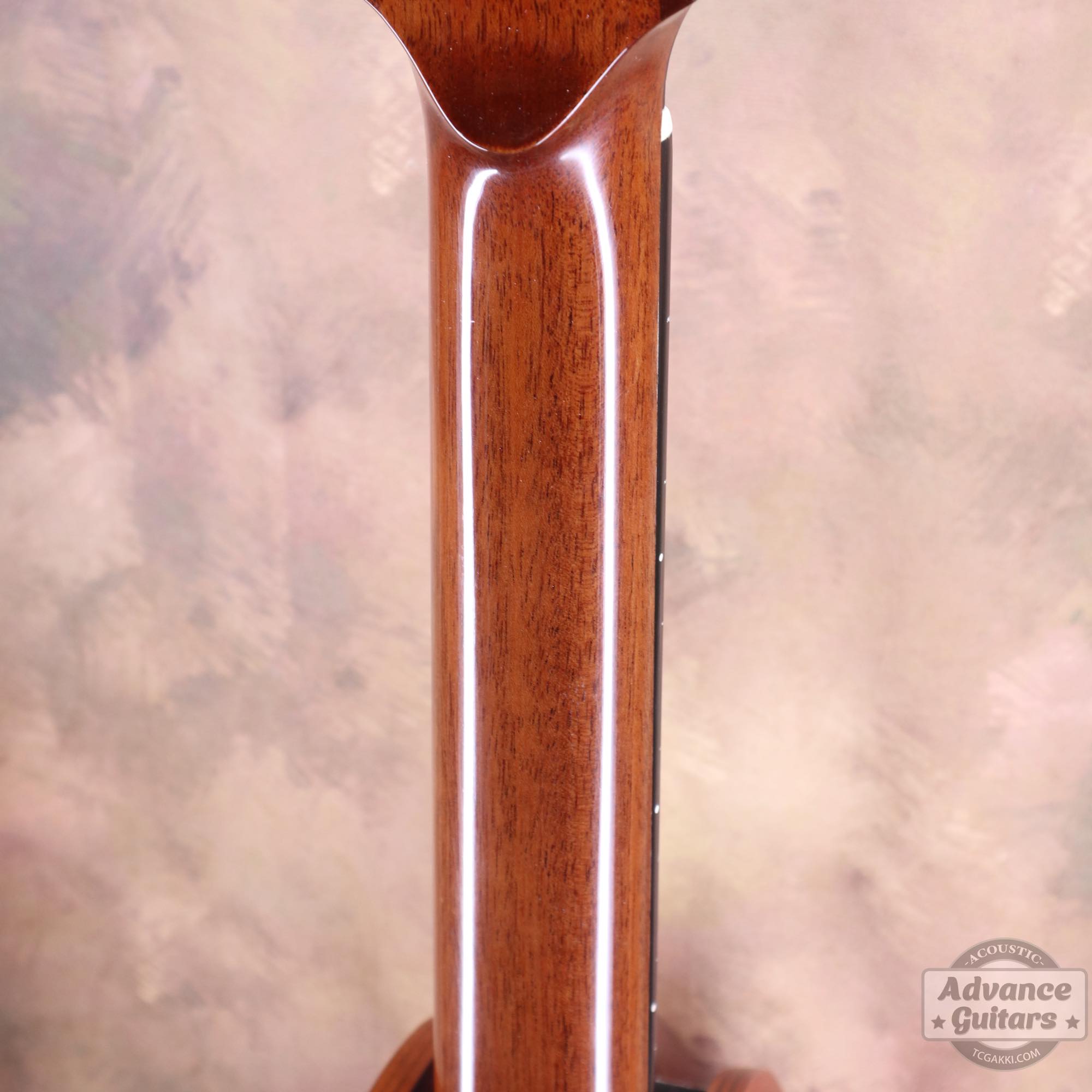 Flame Claro Walnut Dreadnought Advance Guitars Signature Model - TC楽器 - TCGAKKI